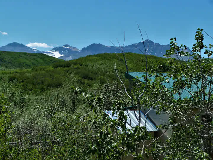 HollyWoods - Near Waterton NP