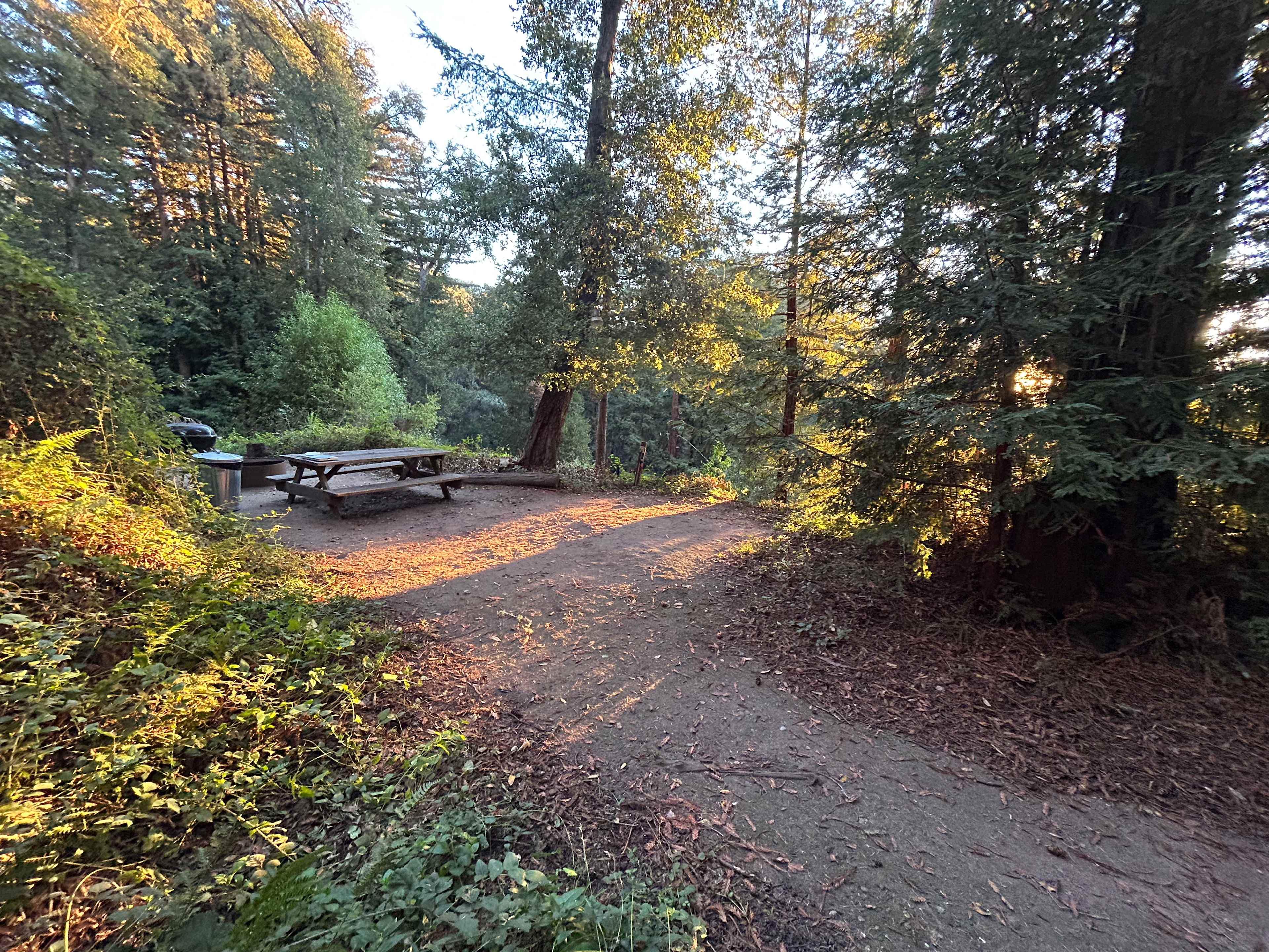 Campsite