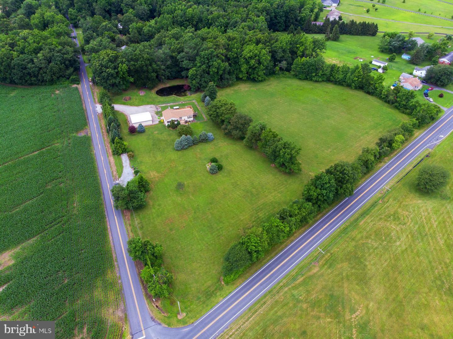 Huck and Buck Farm Sanctuary