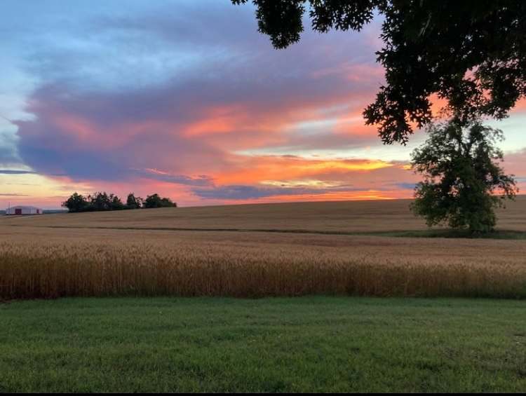 Welcome to our beautiful sunsets