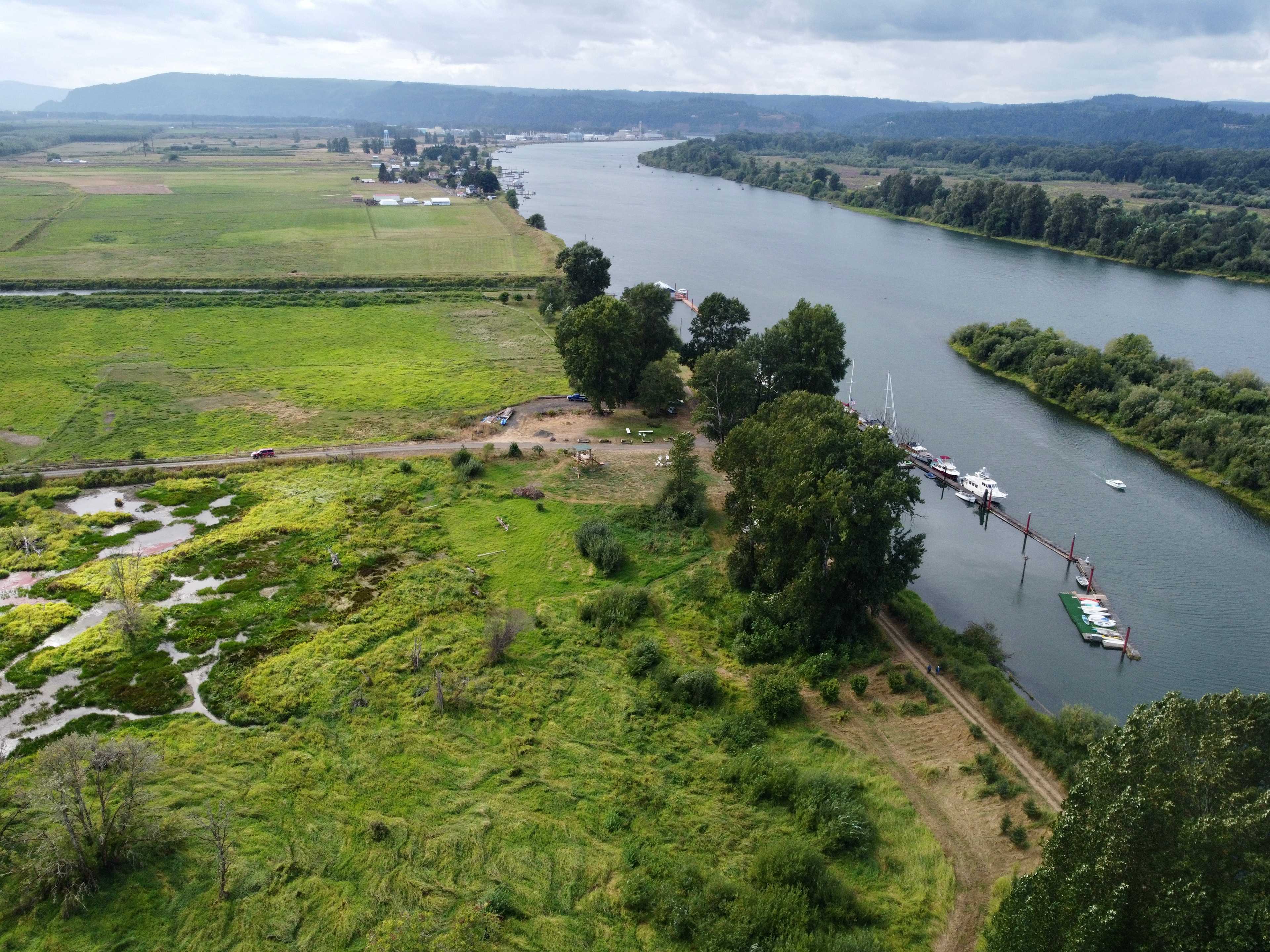 Picture of the site