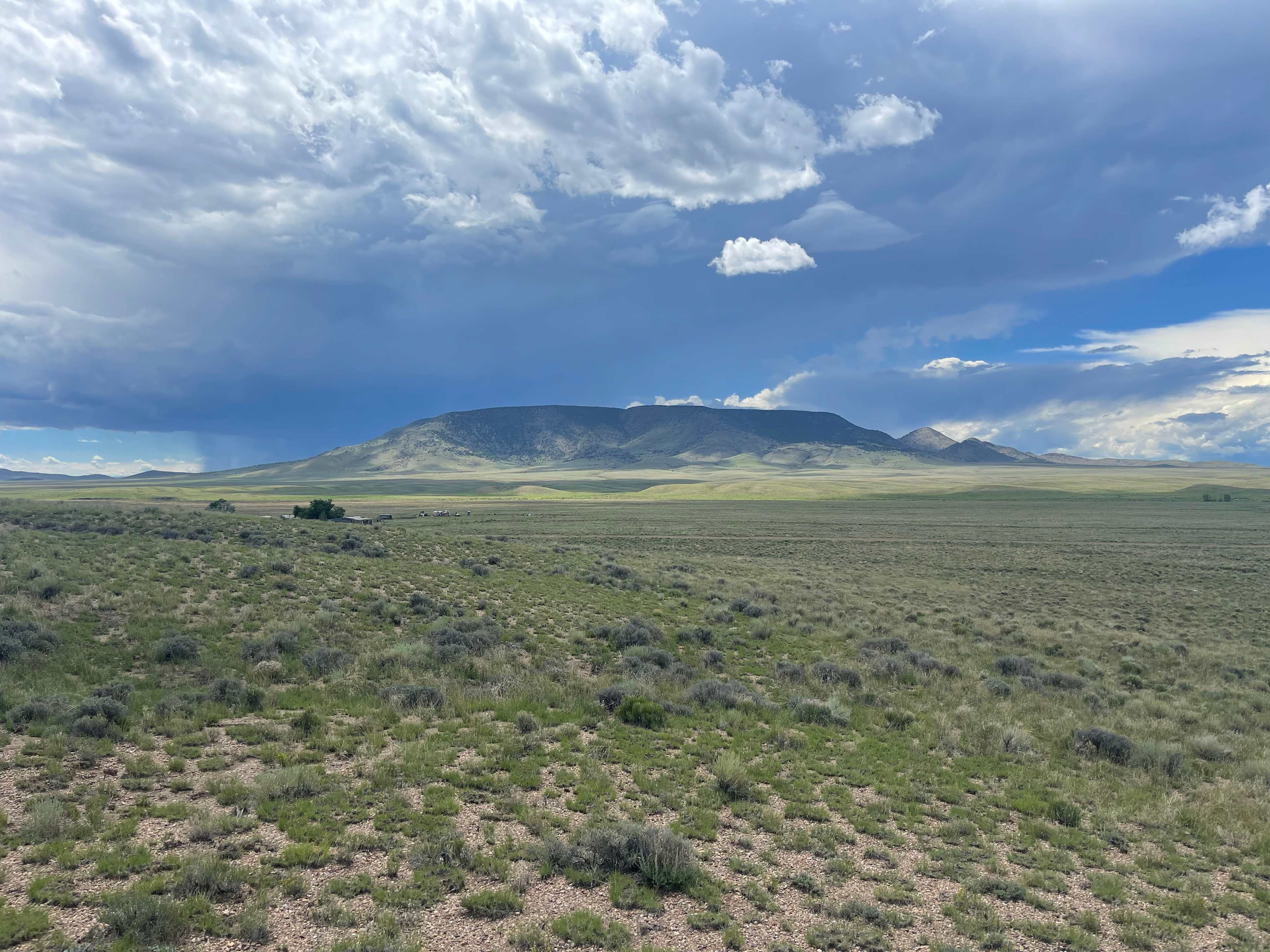 Roys Ranch