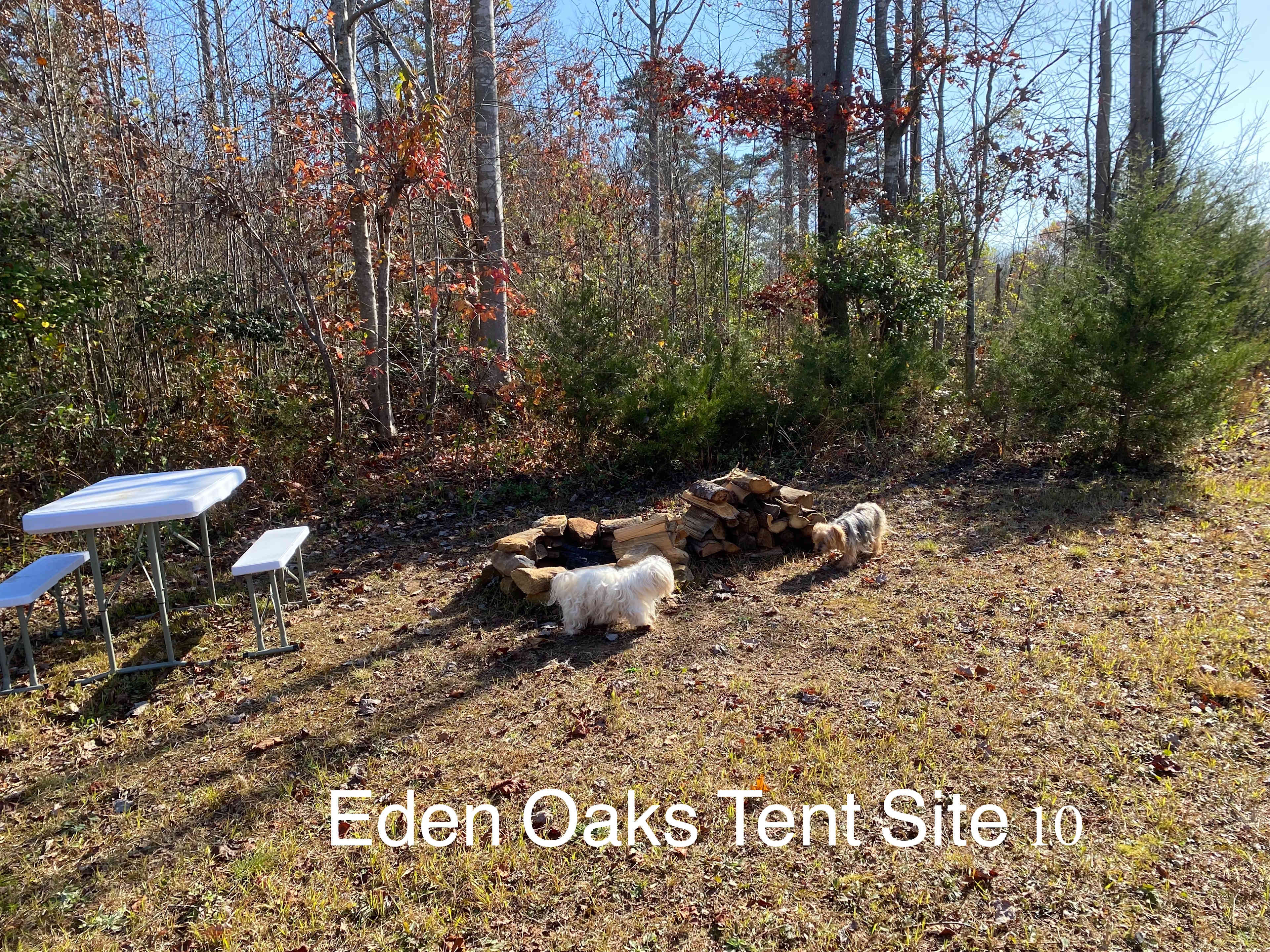 Picture of the site