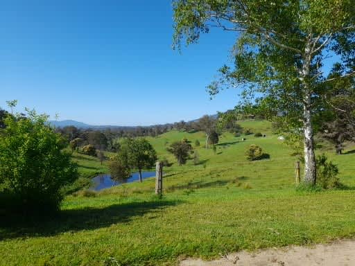 View from Site 2