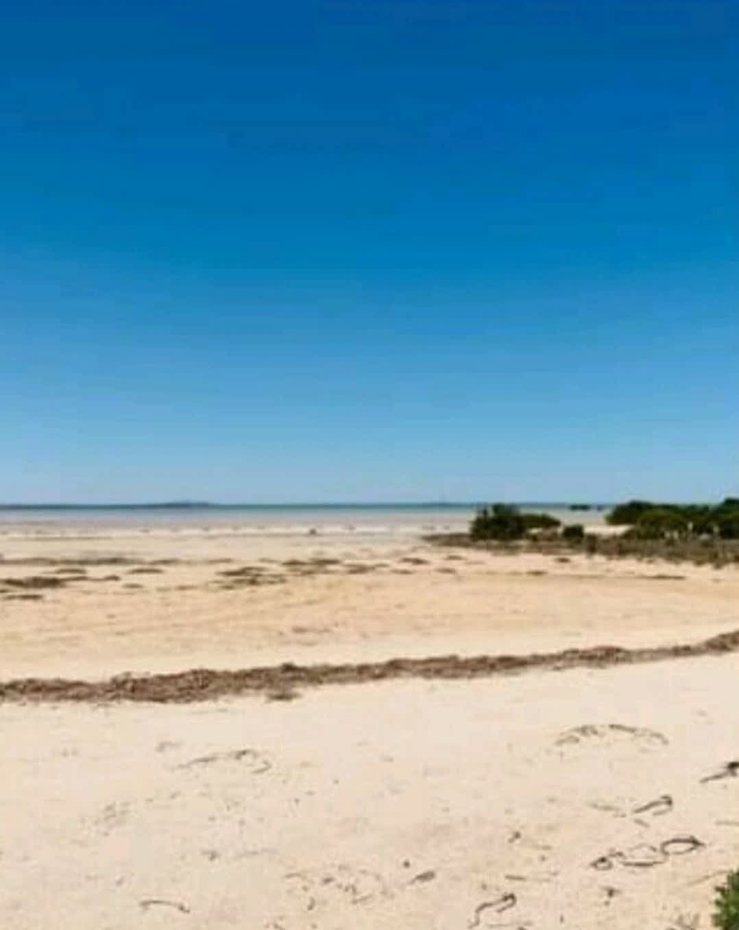 Port Germein Camping