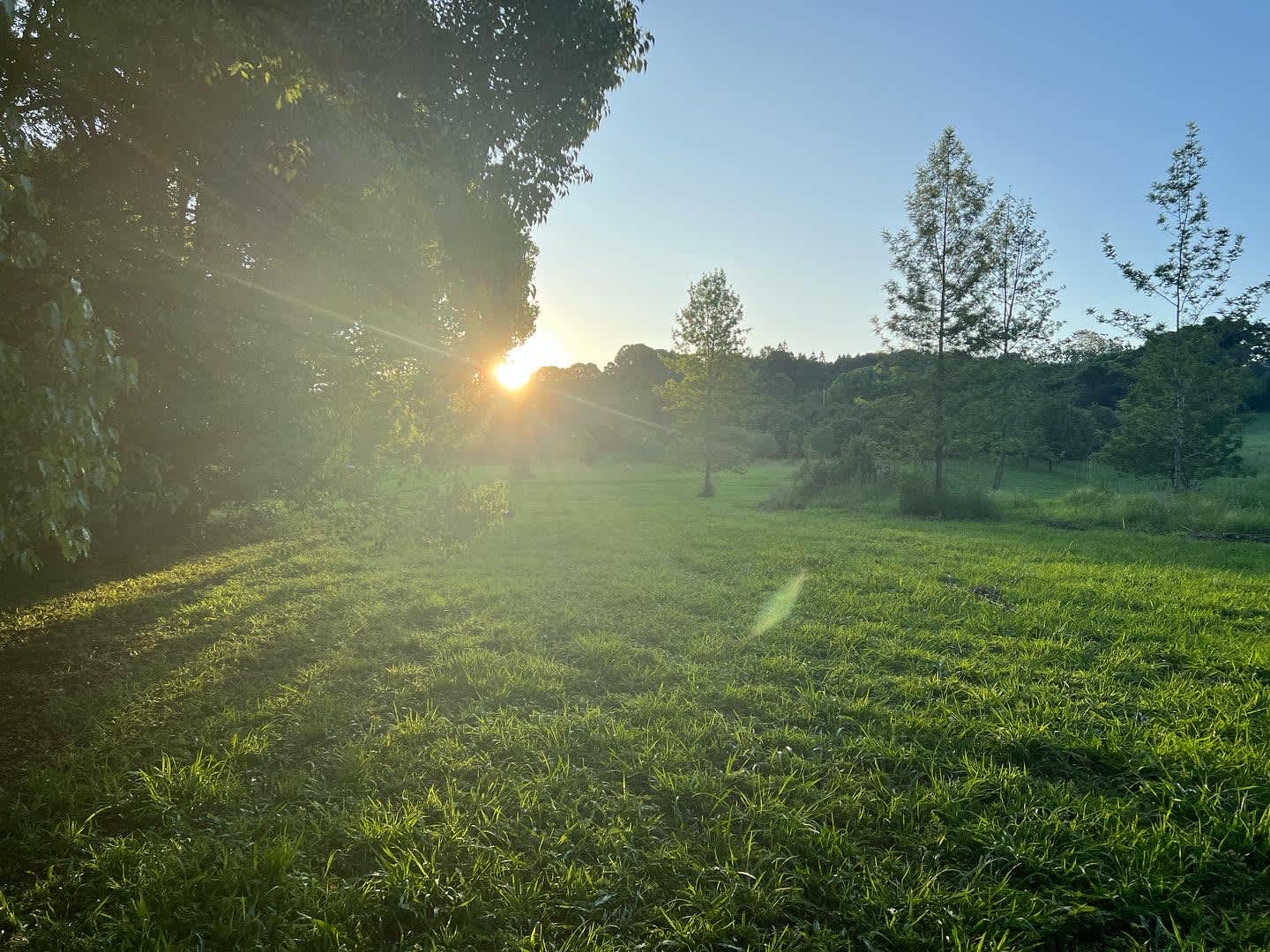 sunset over the Orchard and campsites.
