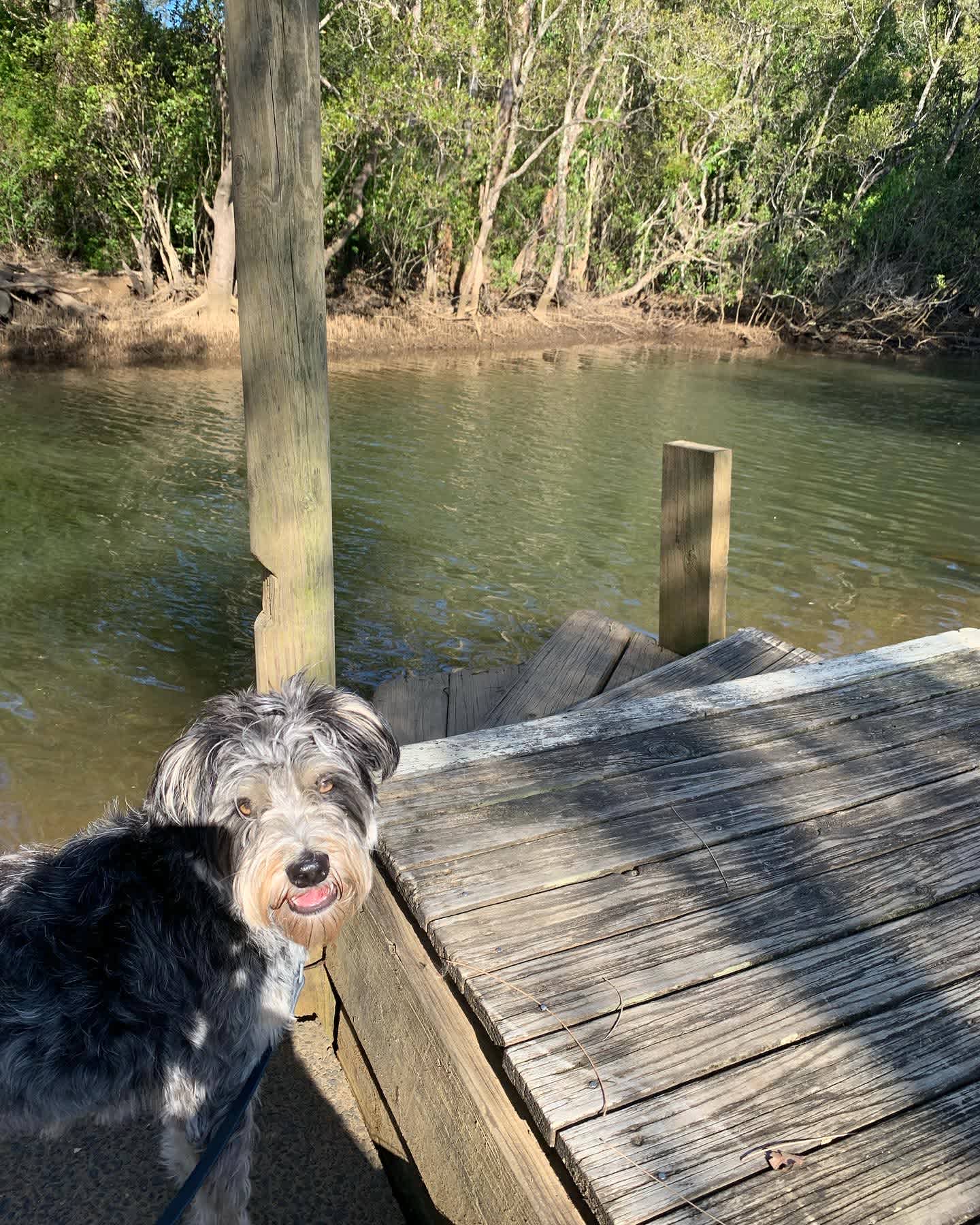 Bellinger River Tourist Park