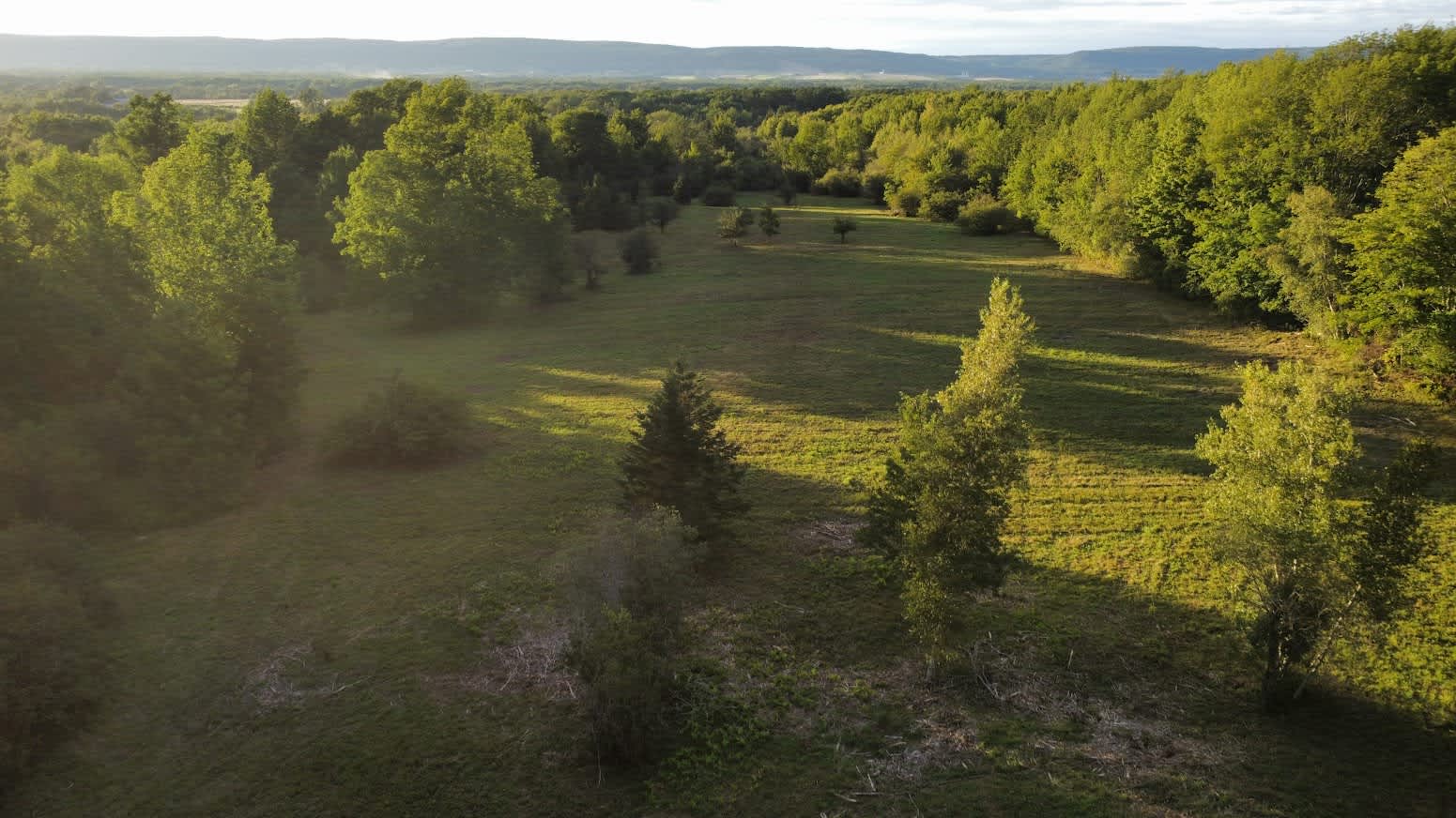 Golden hour here is magical. 