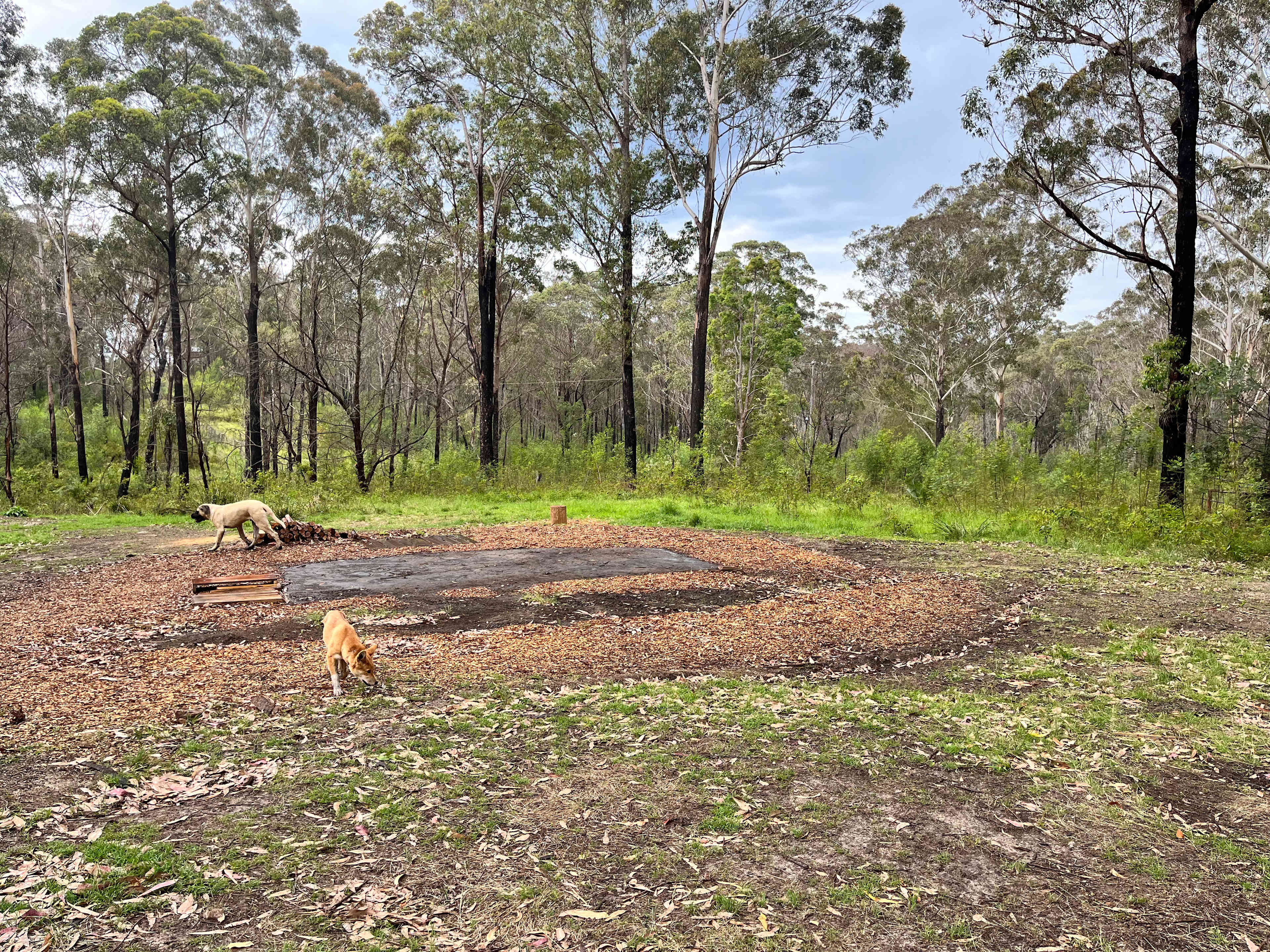 Campsite