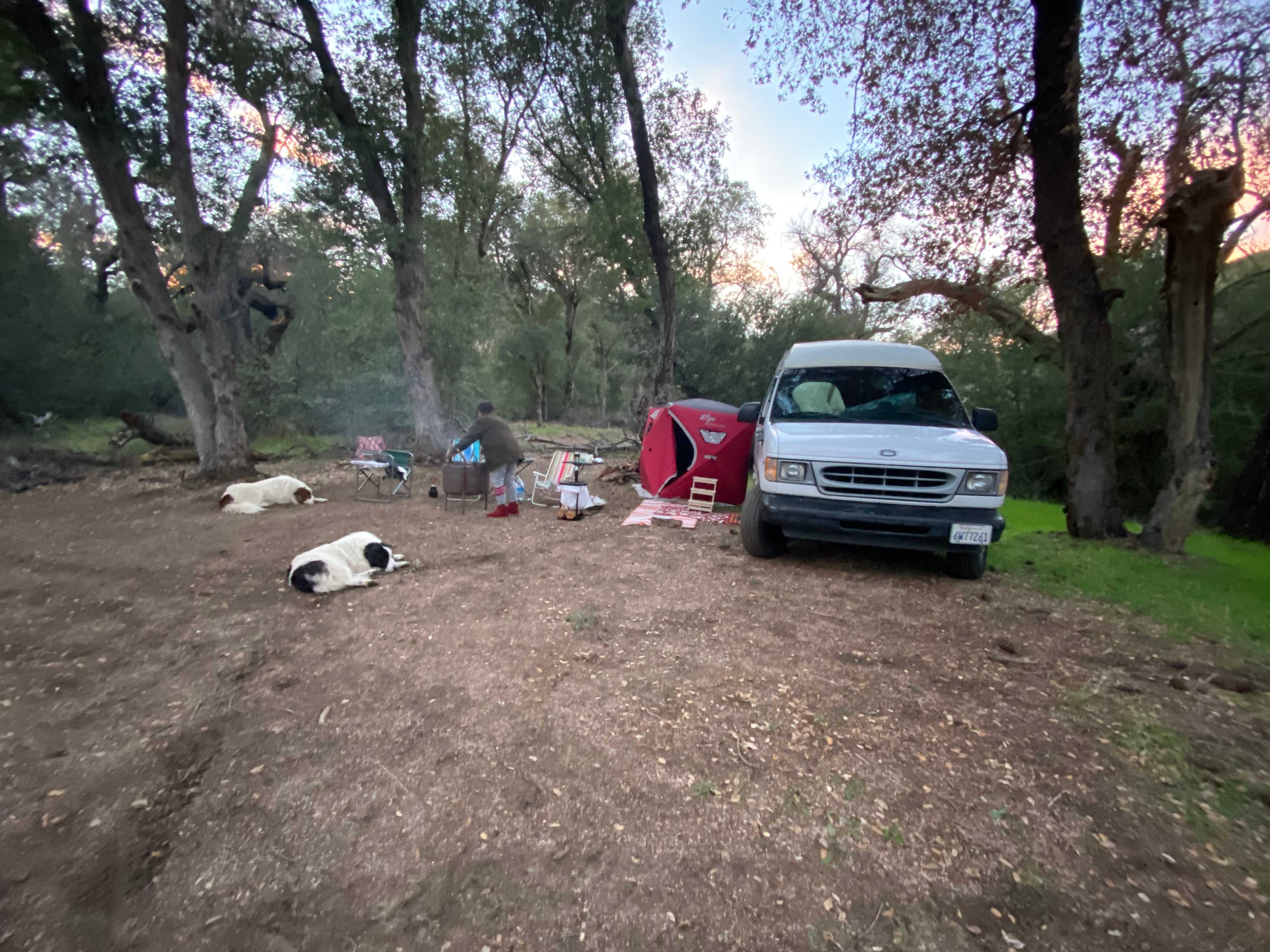 Picture of the site