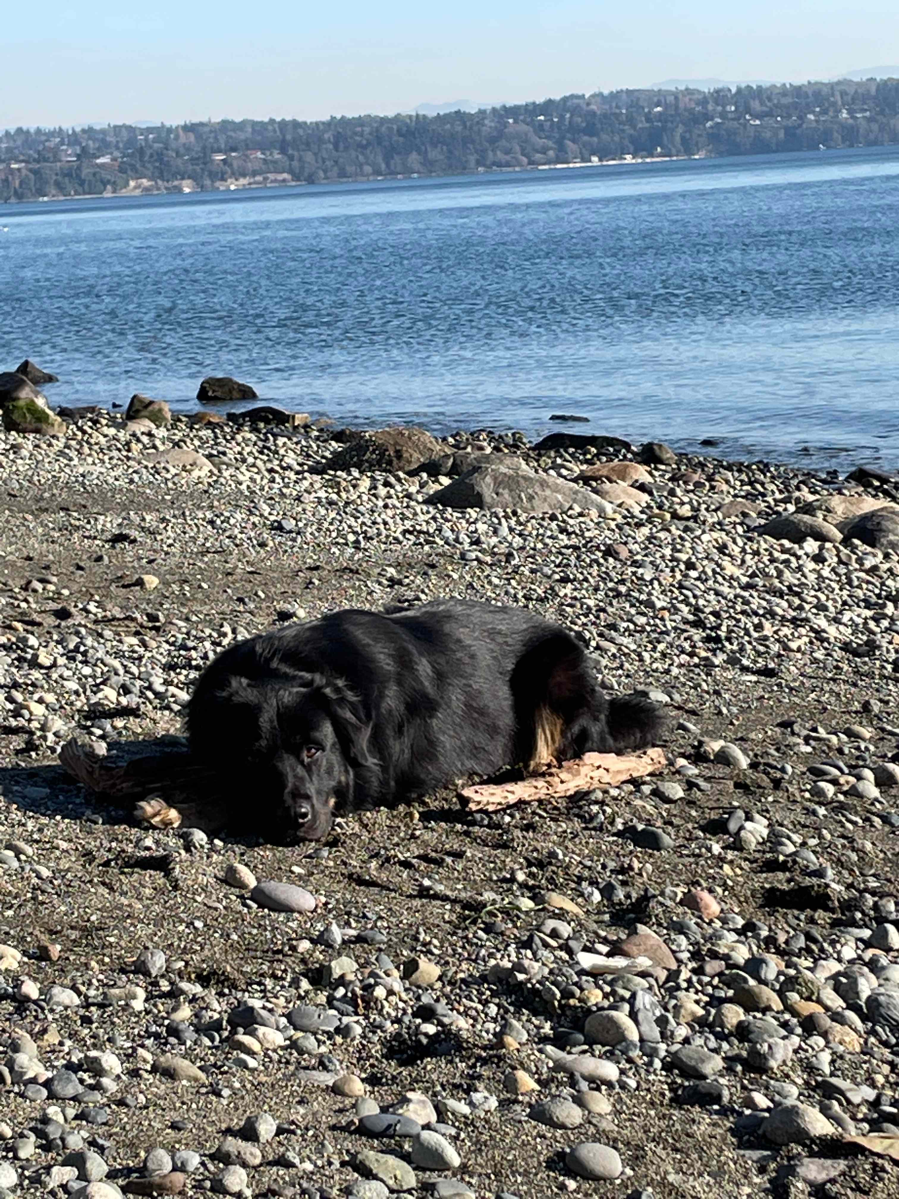 Private Beach, 15 Acres, Vashon