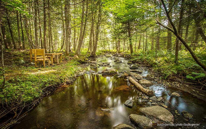 Back to Nature Eco-Lodging