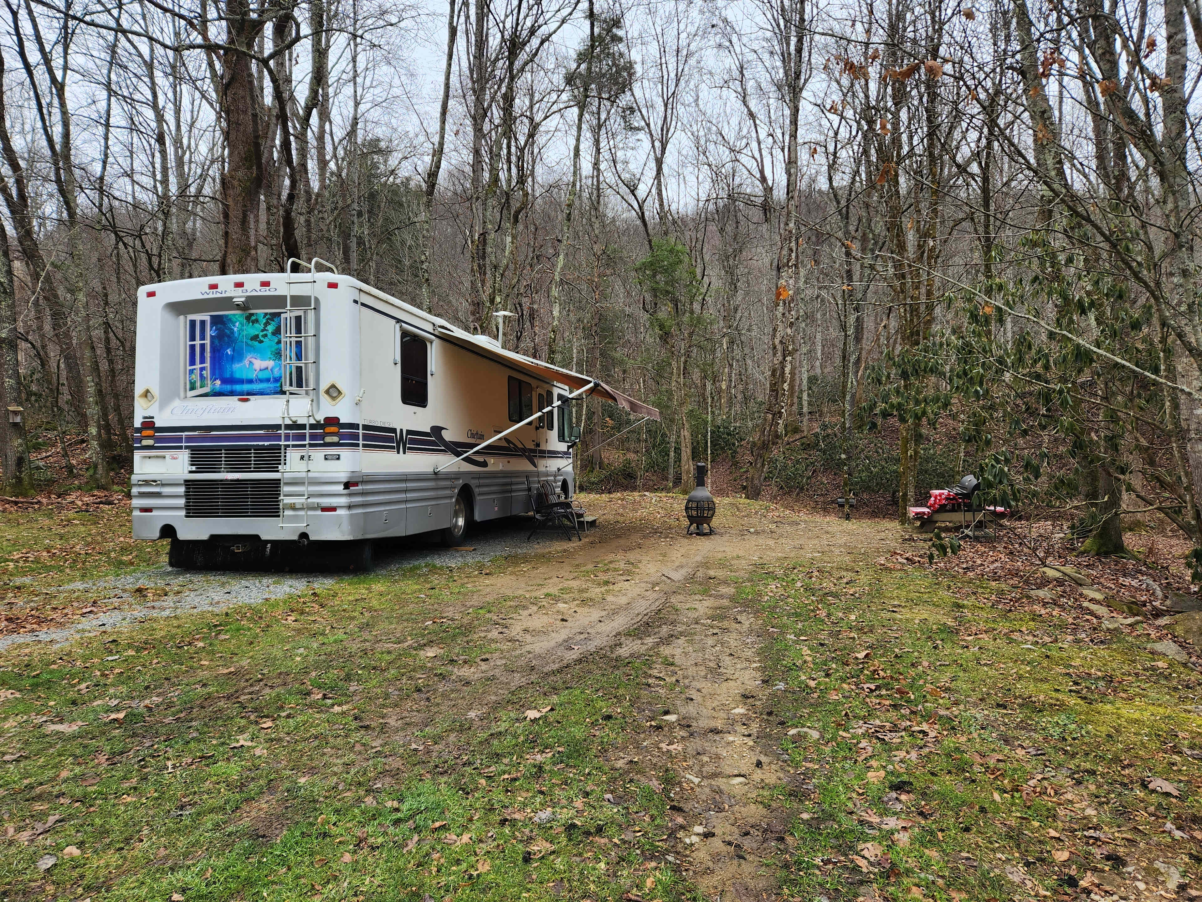 Picture of the site