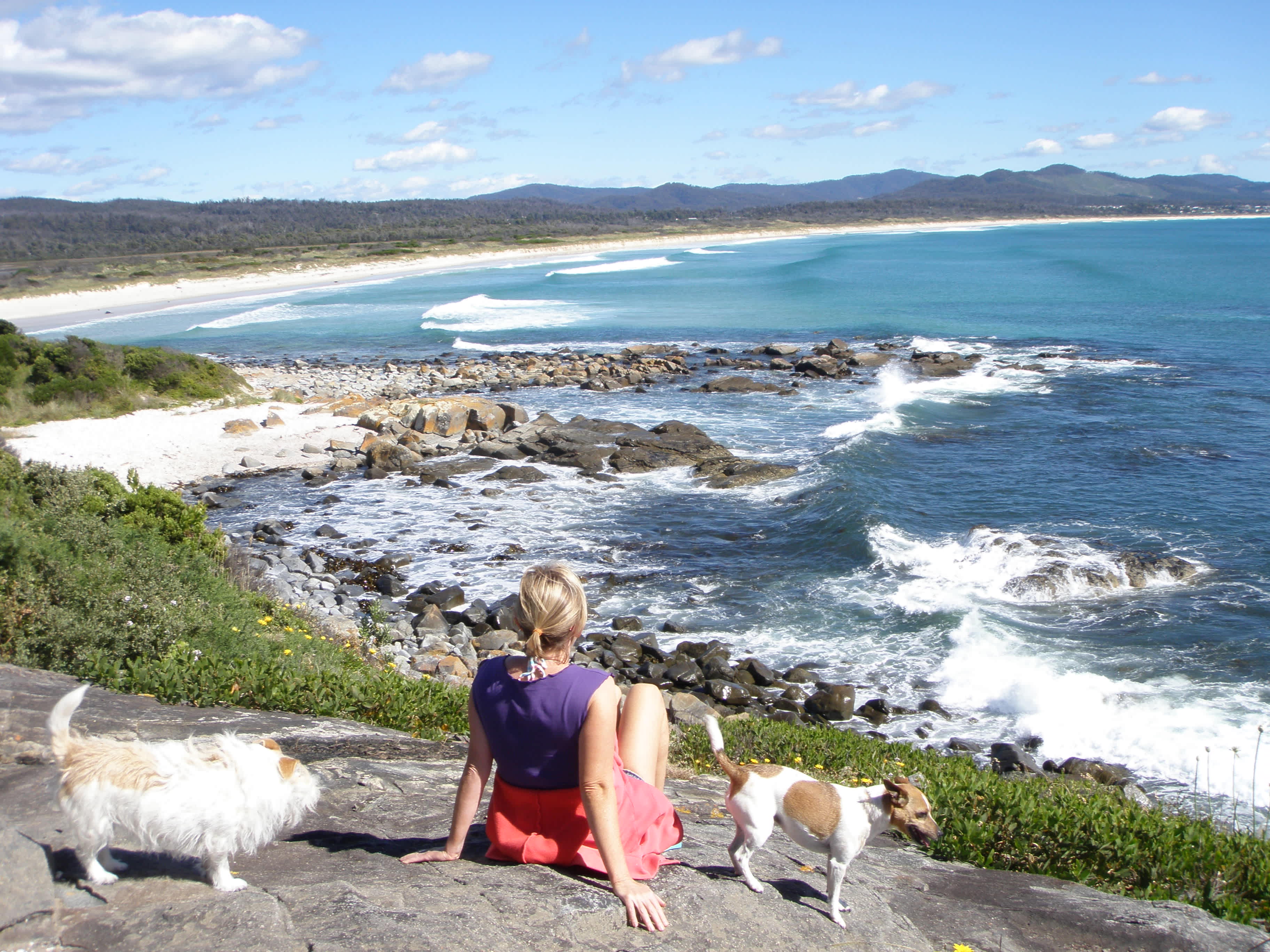 Bohemian Beach Retreat Tiny House - Hipcamp in Falmouth, Tasmania