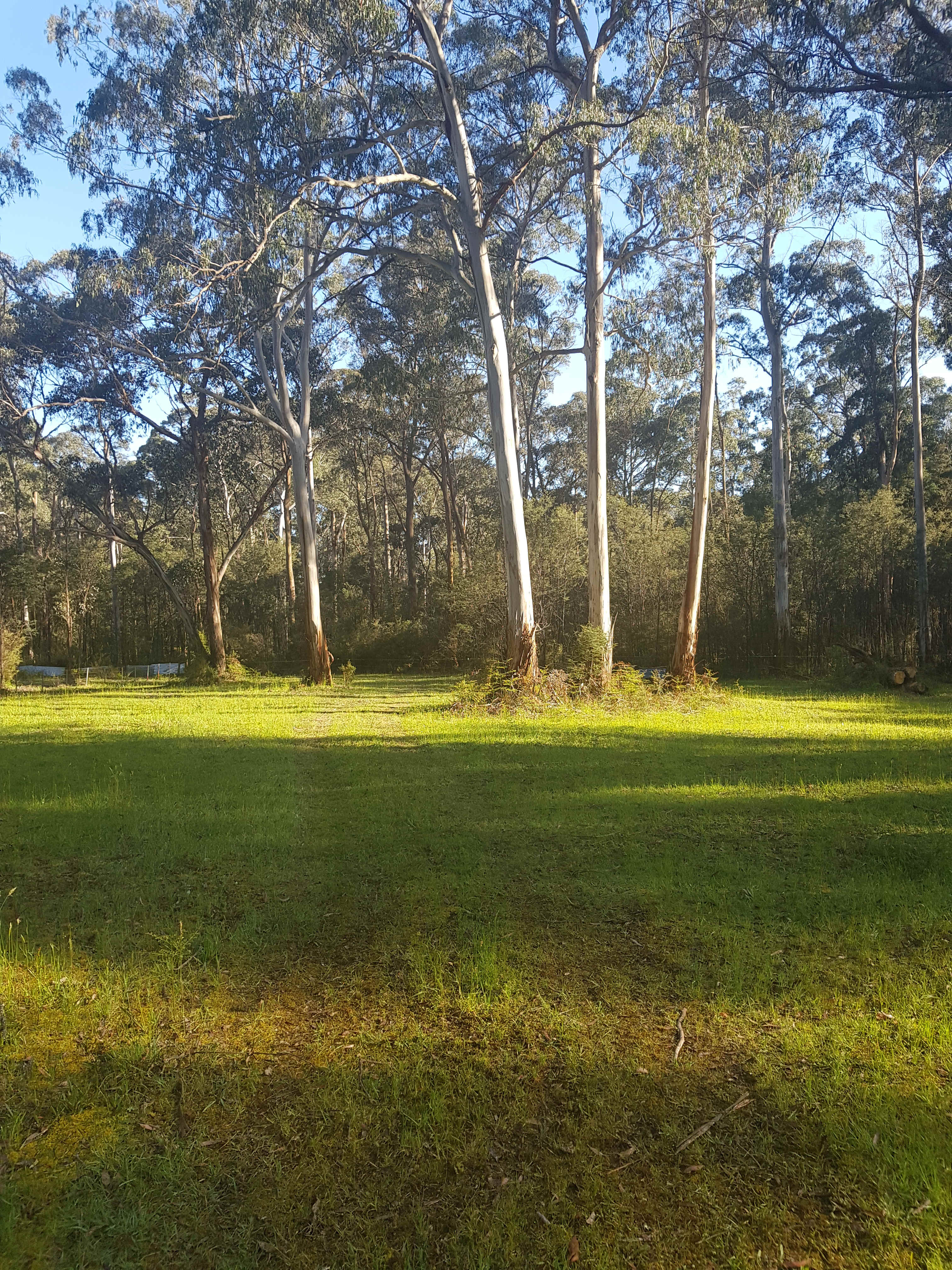 Castella River Farm