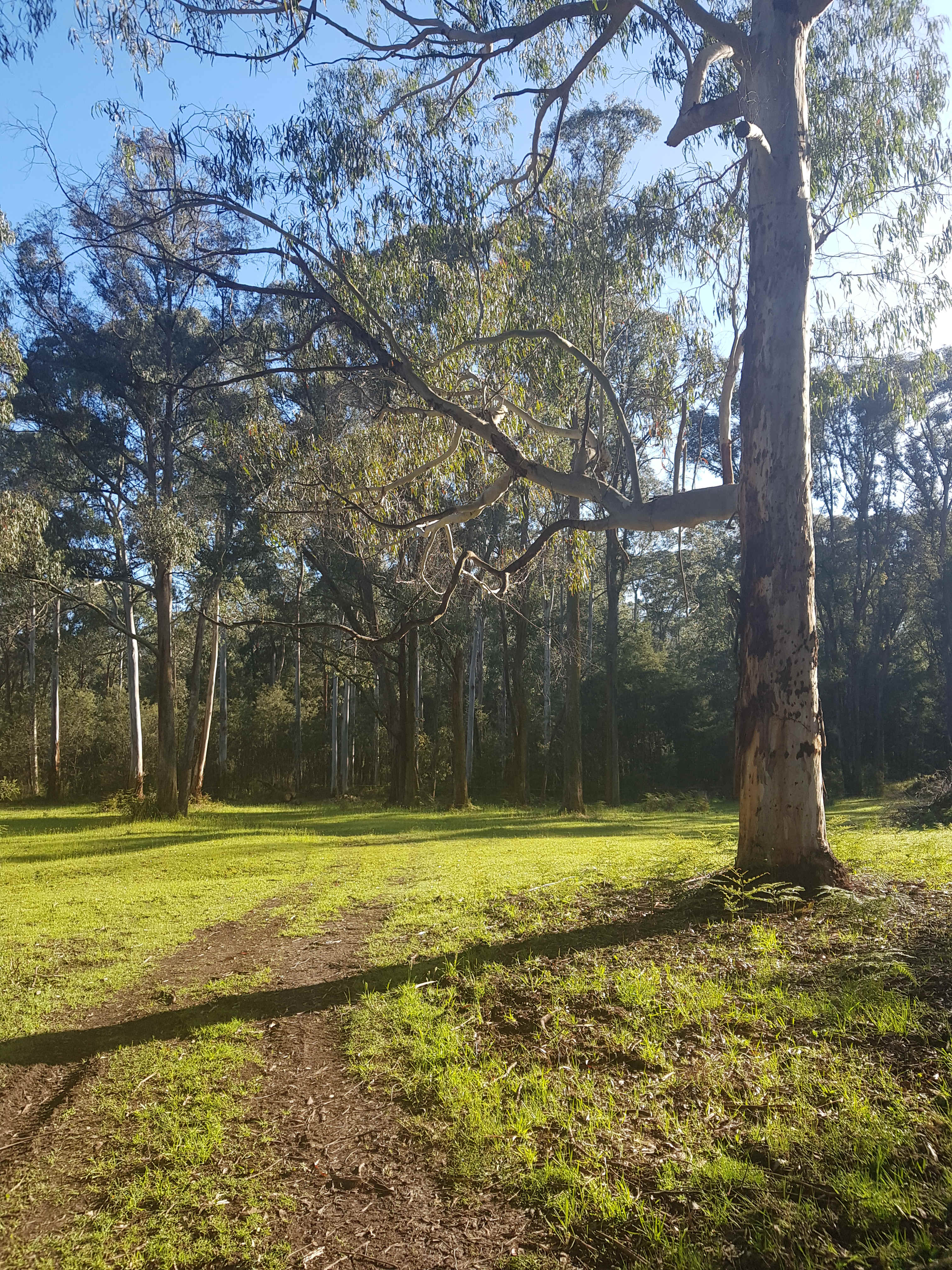 Castella River Farm
