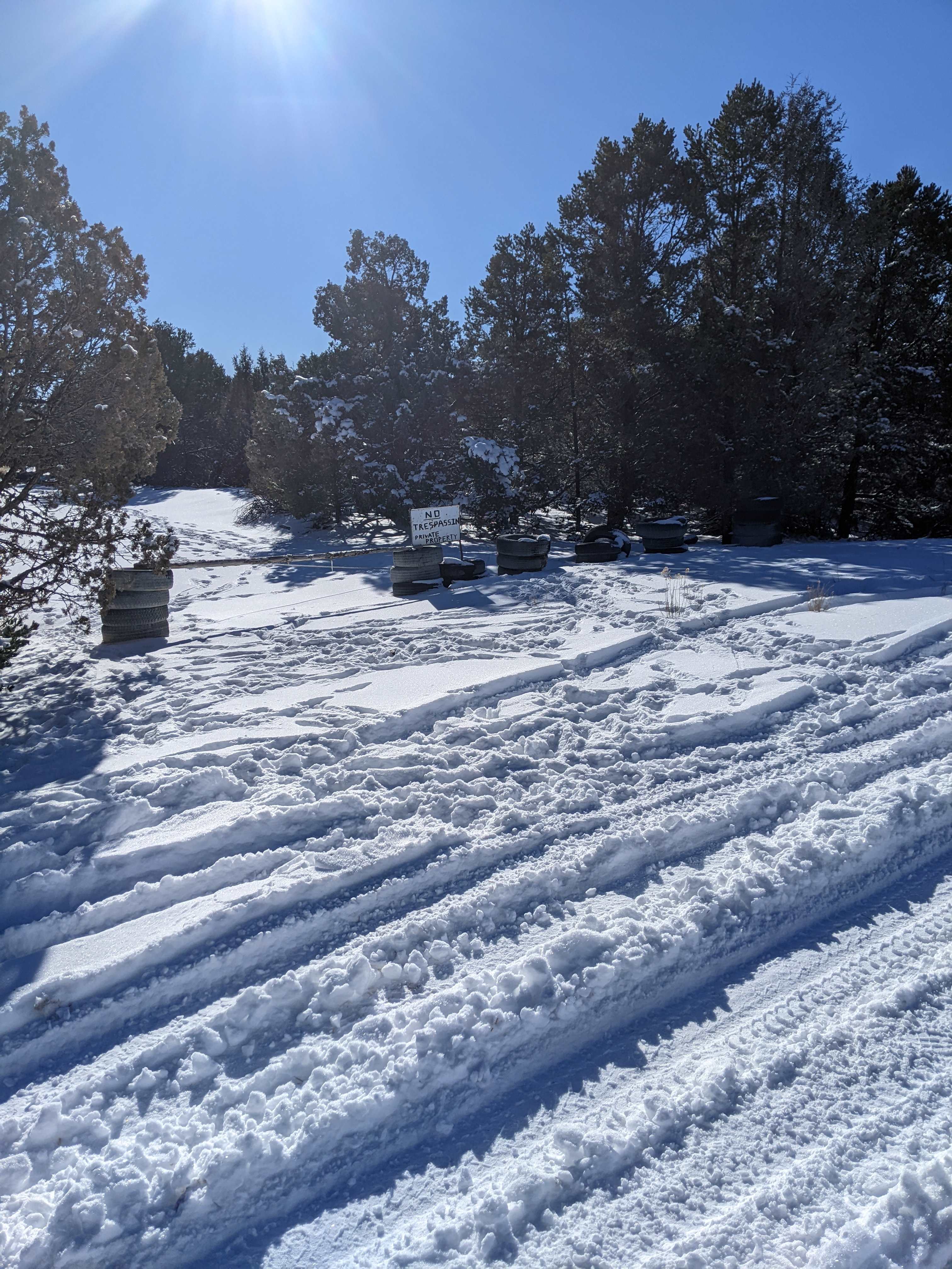 Picture of the site