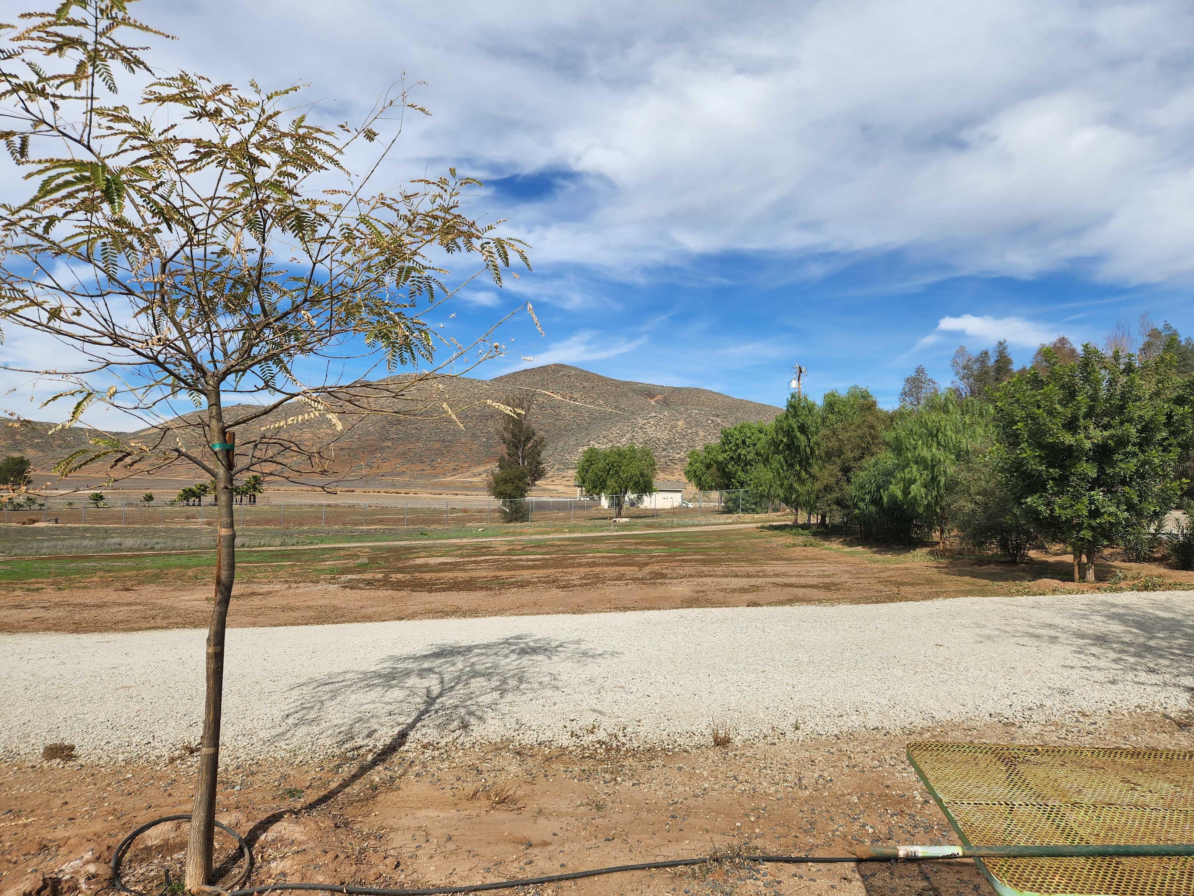 Zahra M.’s Land