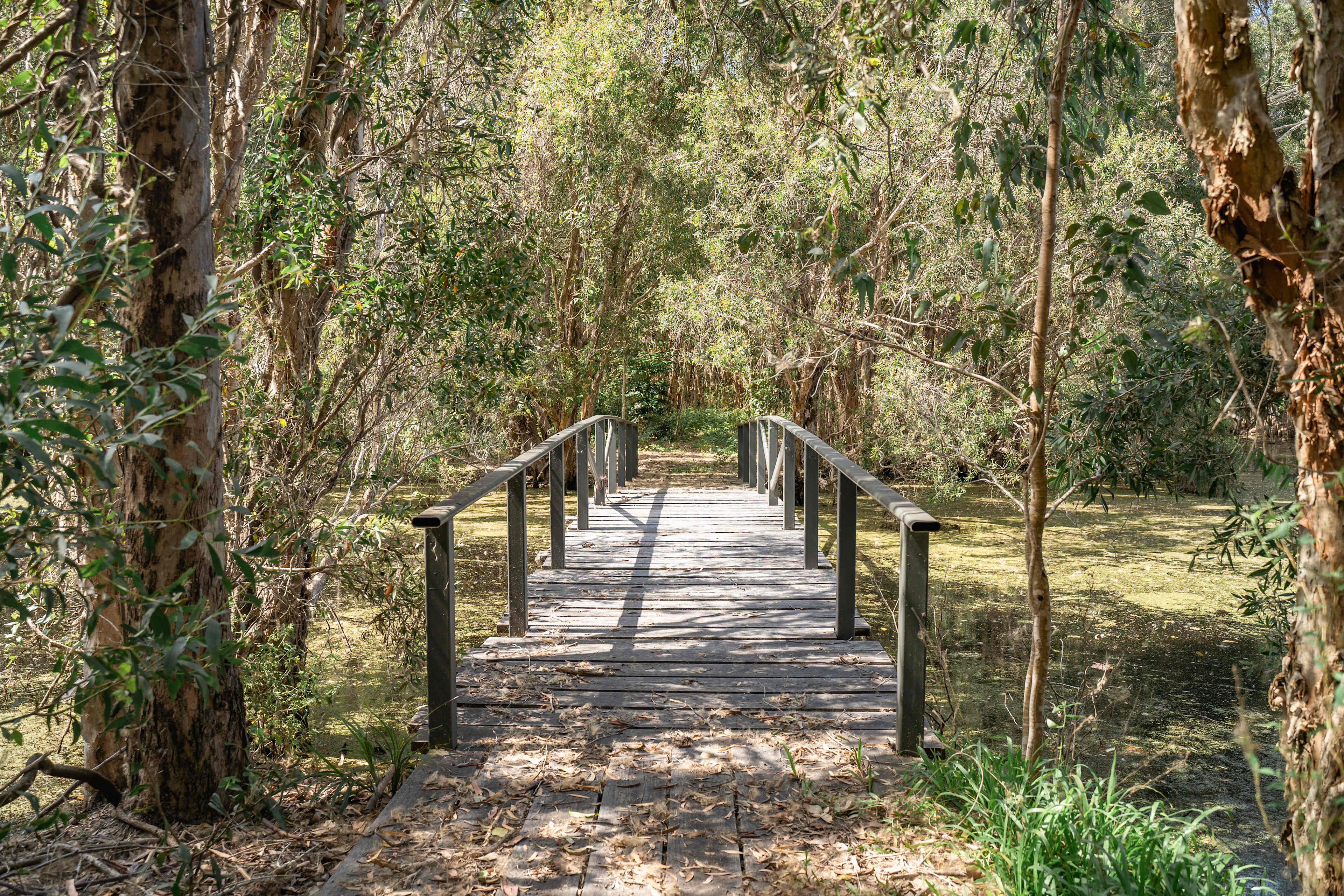 Wetlands on property