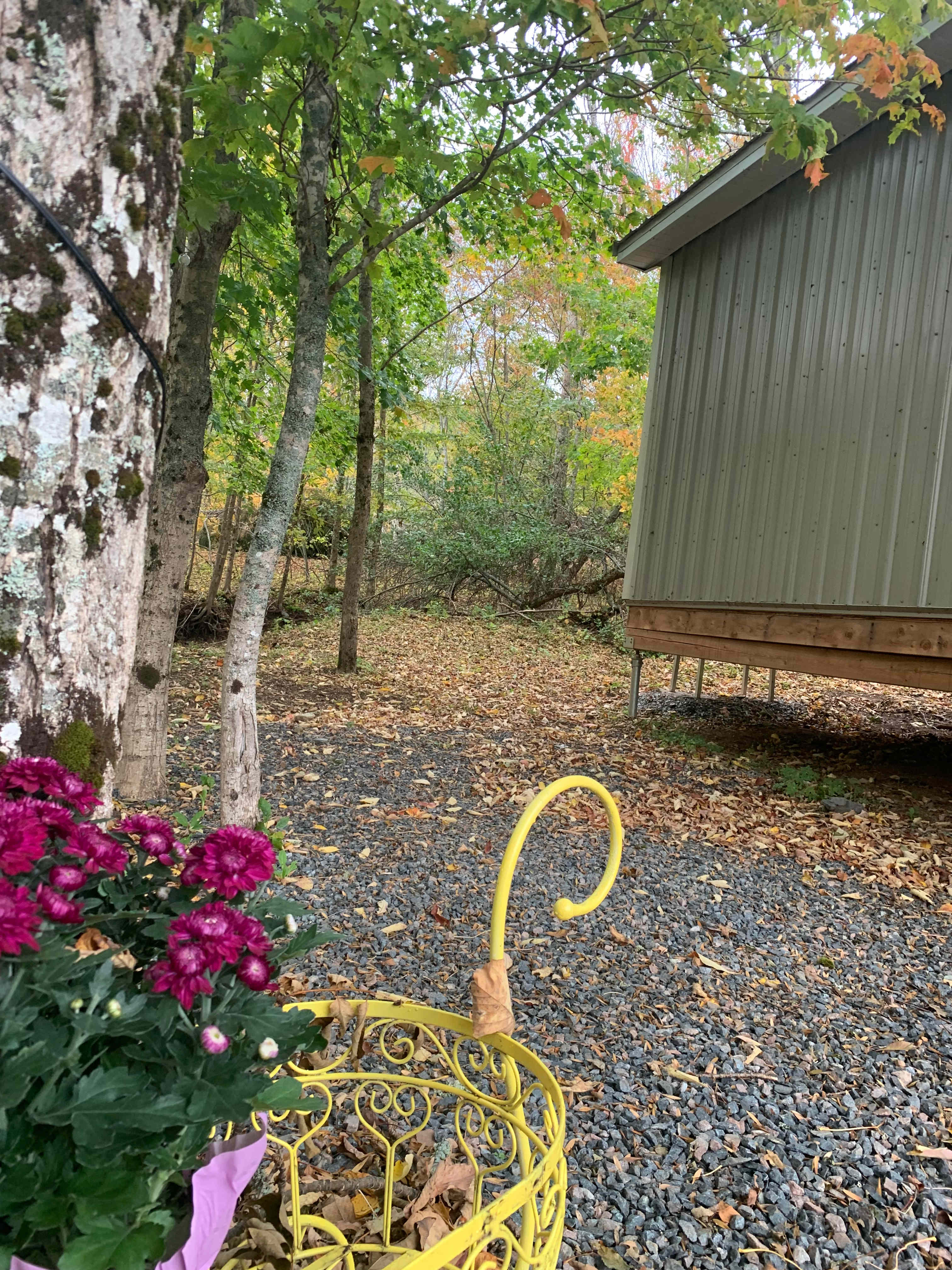 Field & Fern Cabins