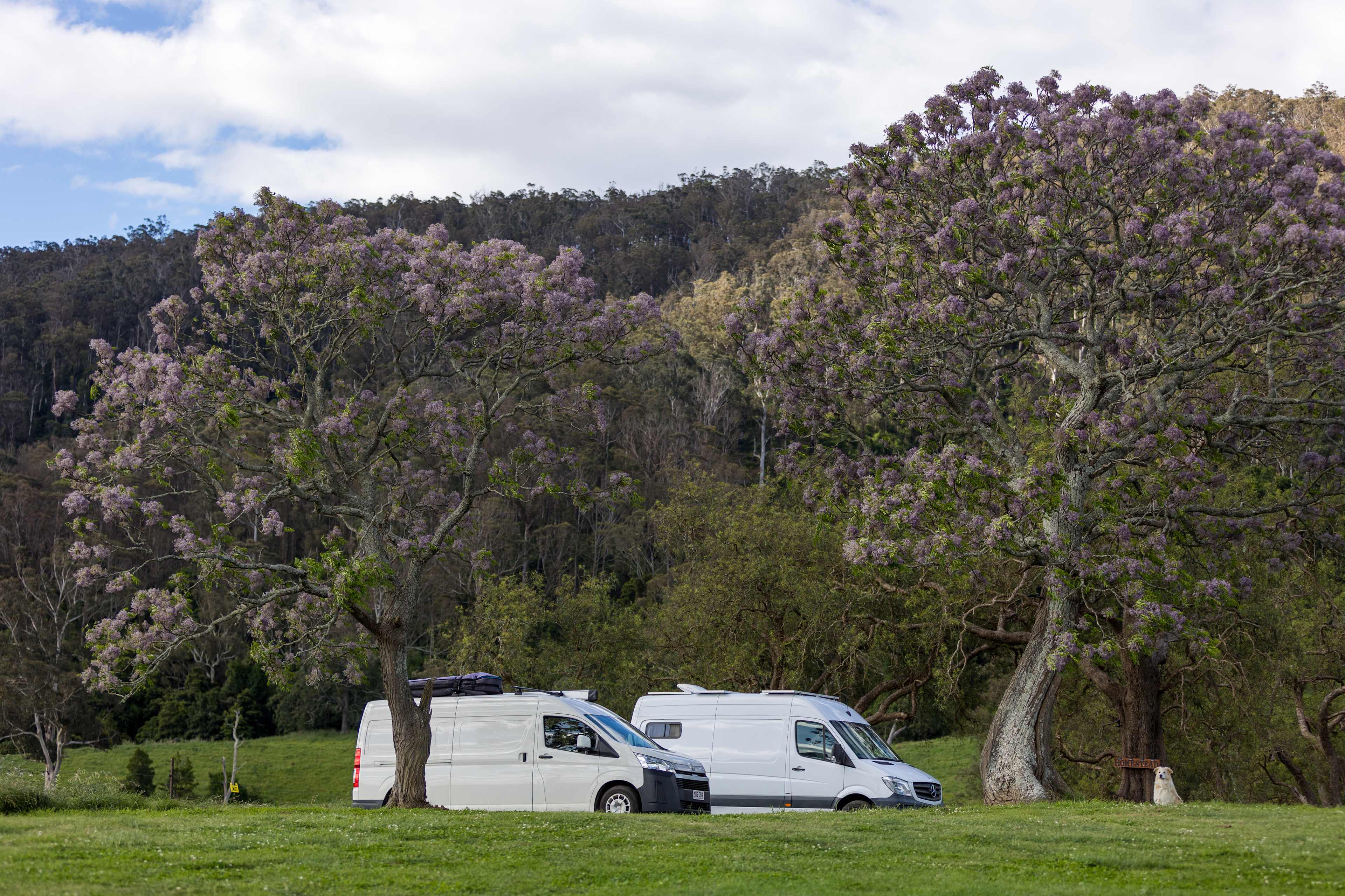 Homestead campsite 