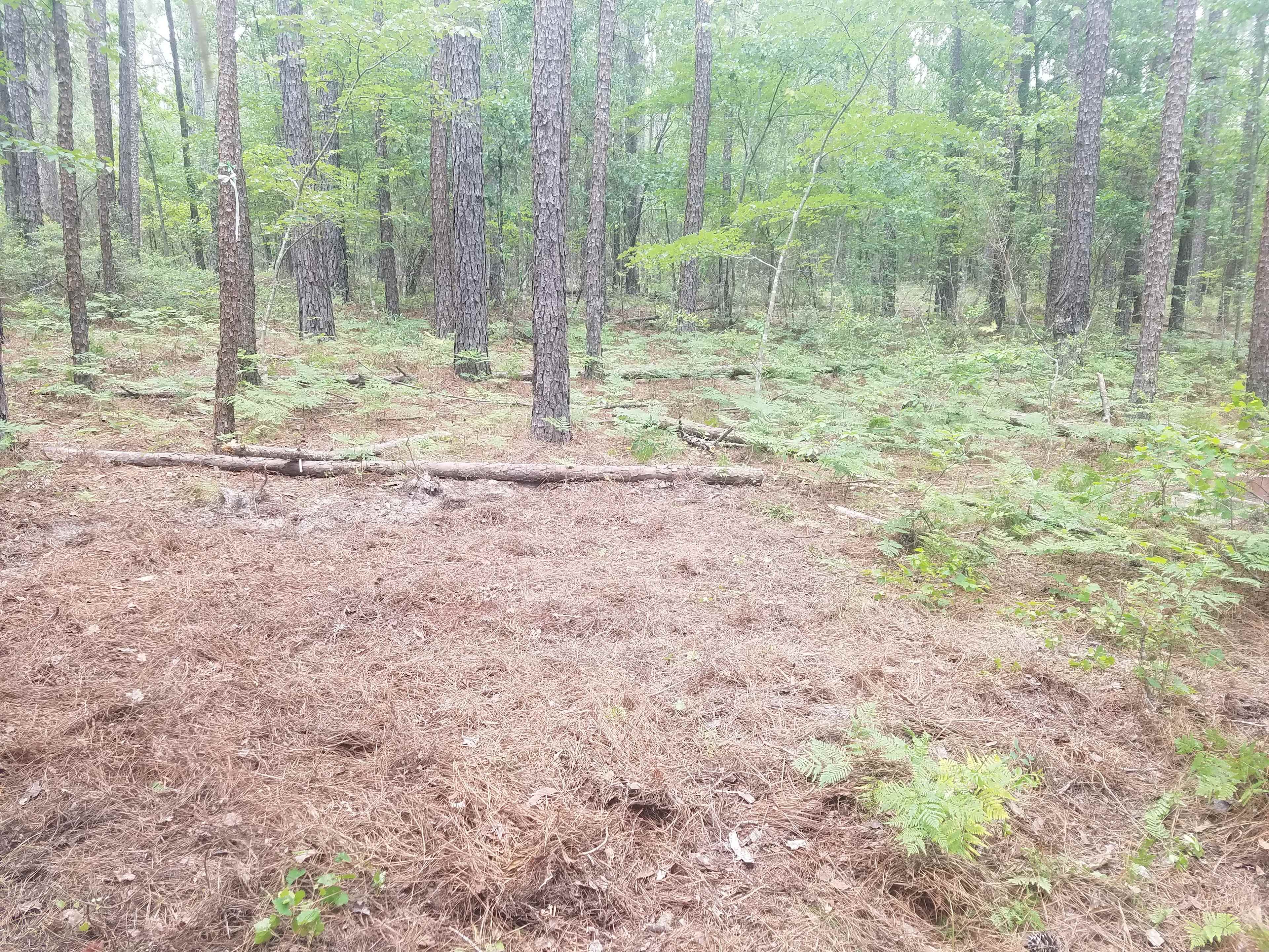Leveled tent site