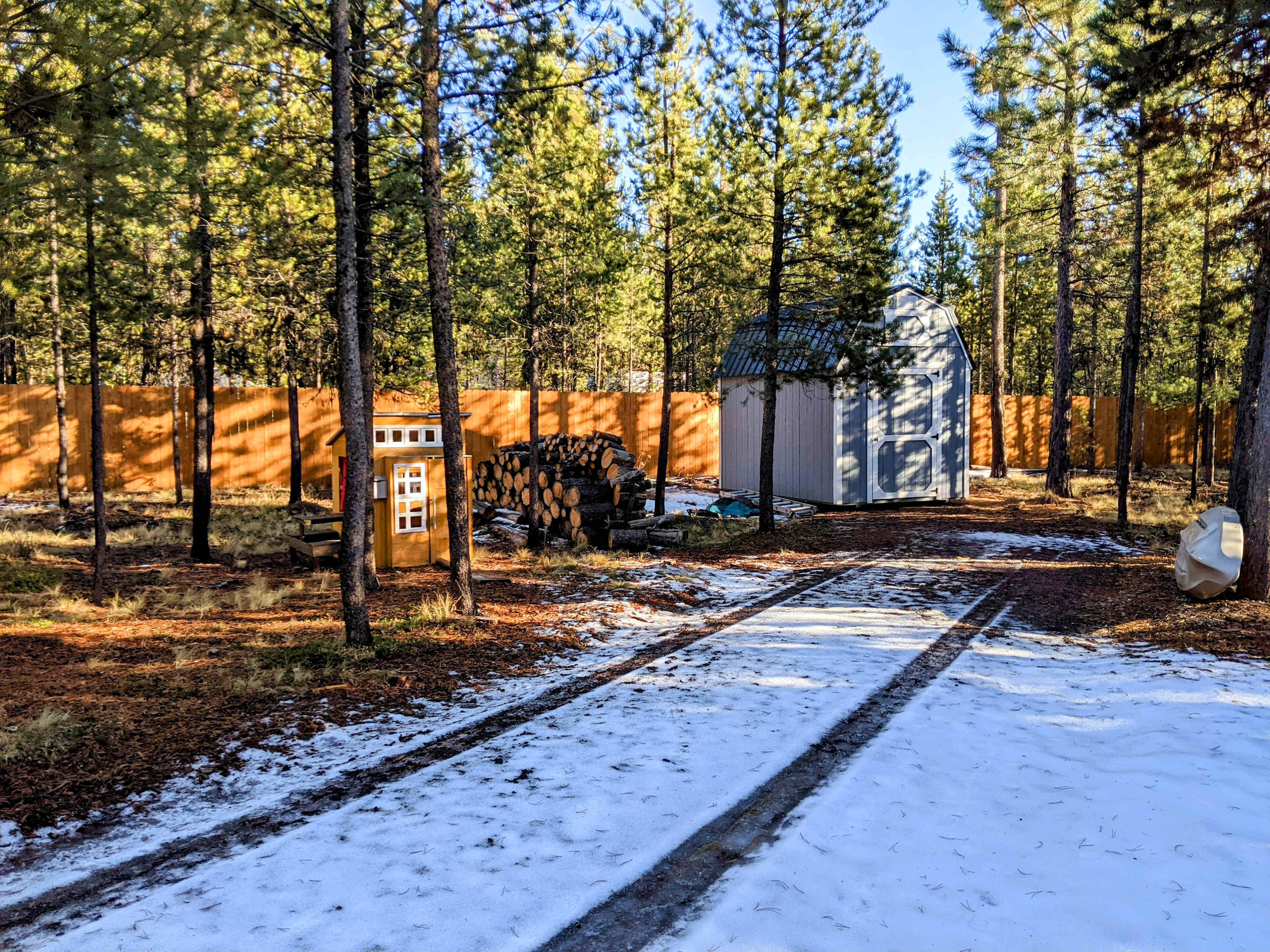 Summer's Camp