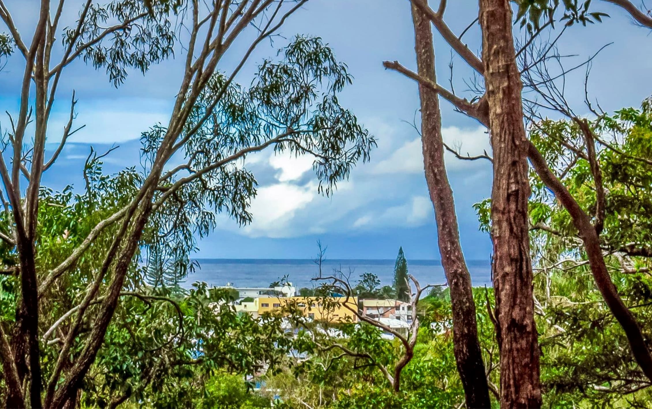 Actual view from the water tower slab 