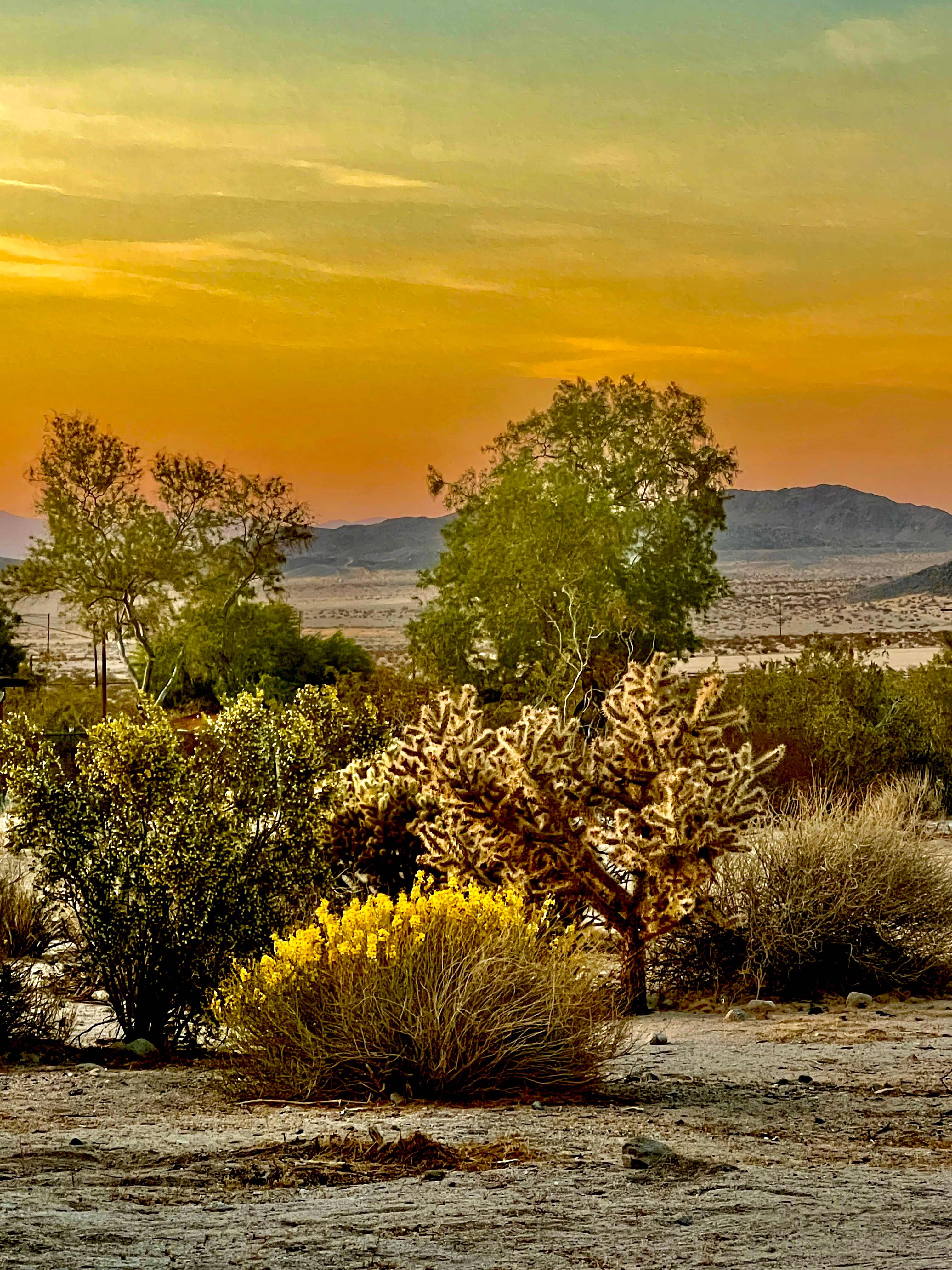 Giuseppe A.’s Land
