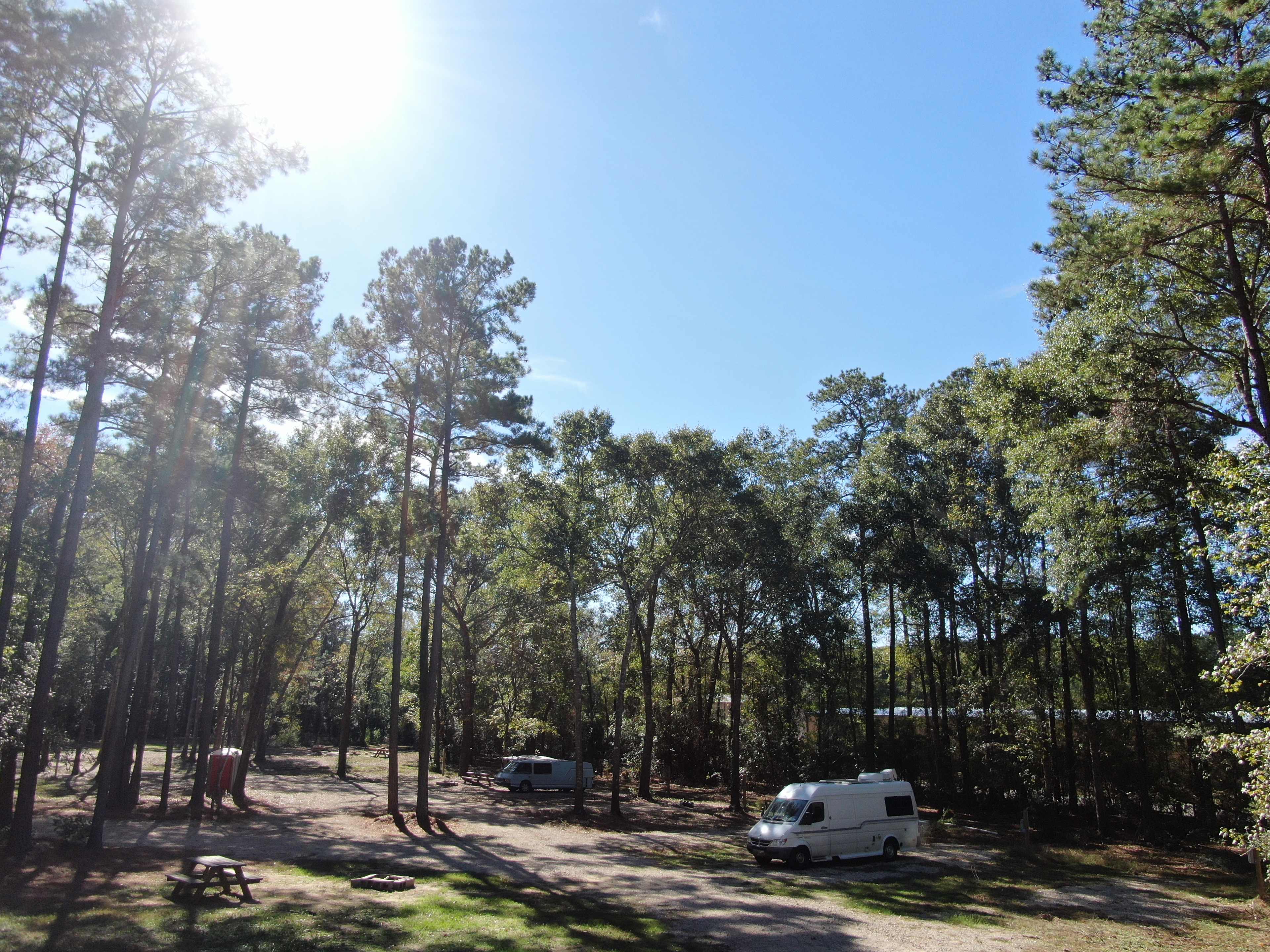 Picture of the site