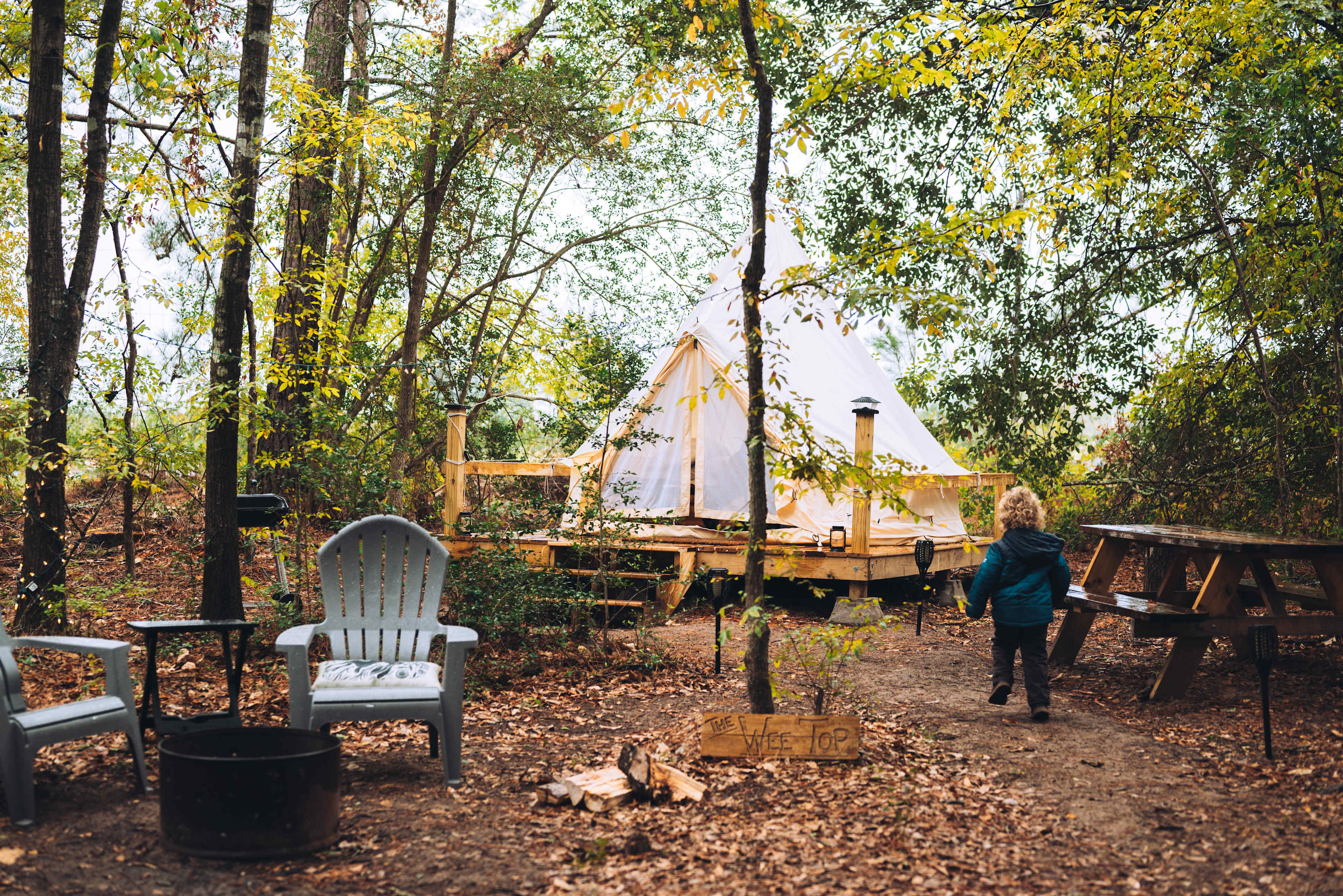 Picture of the site