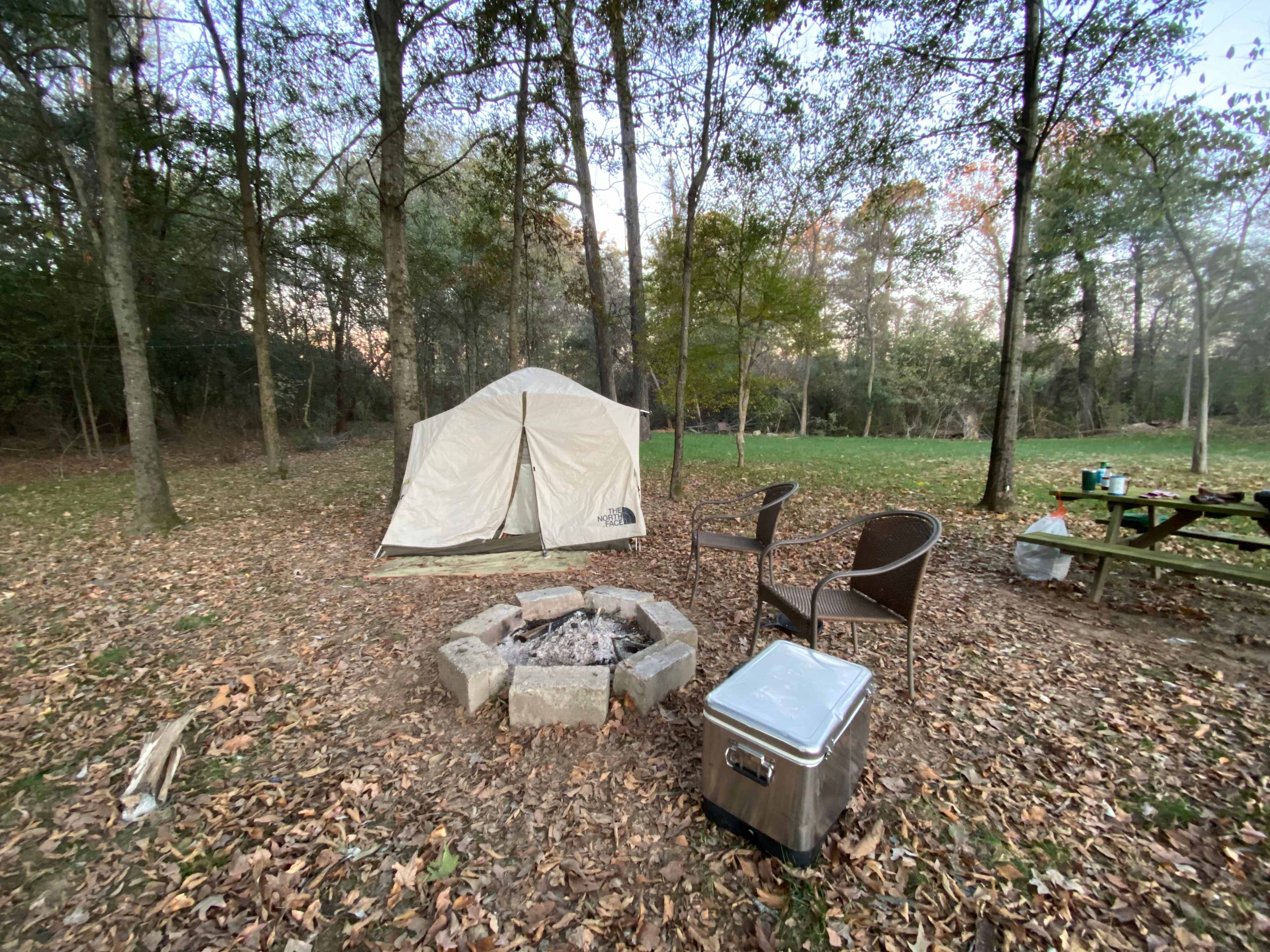 Picture of the site