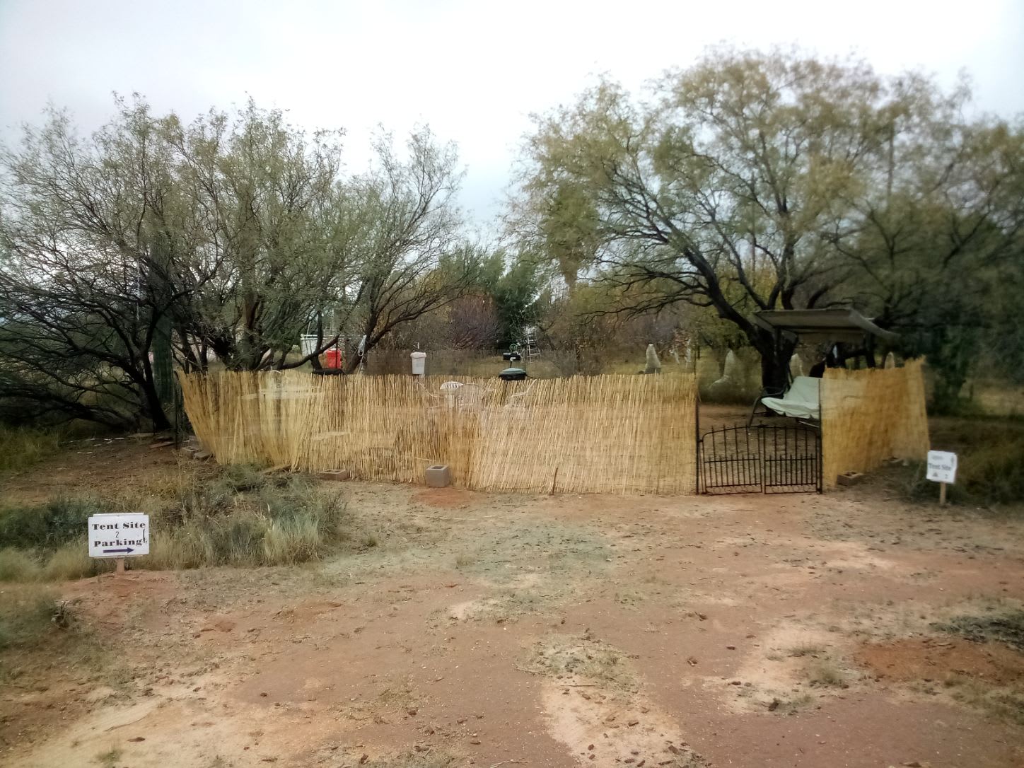 Picture of the site