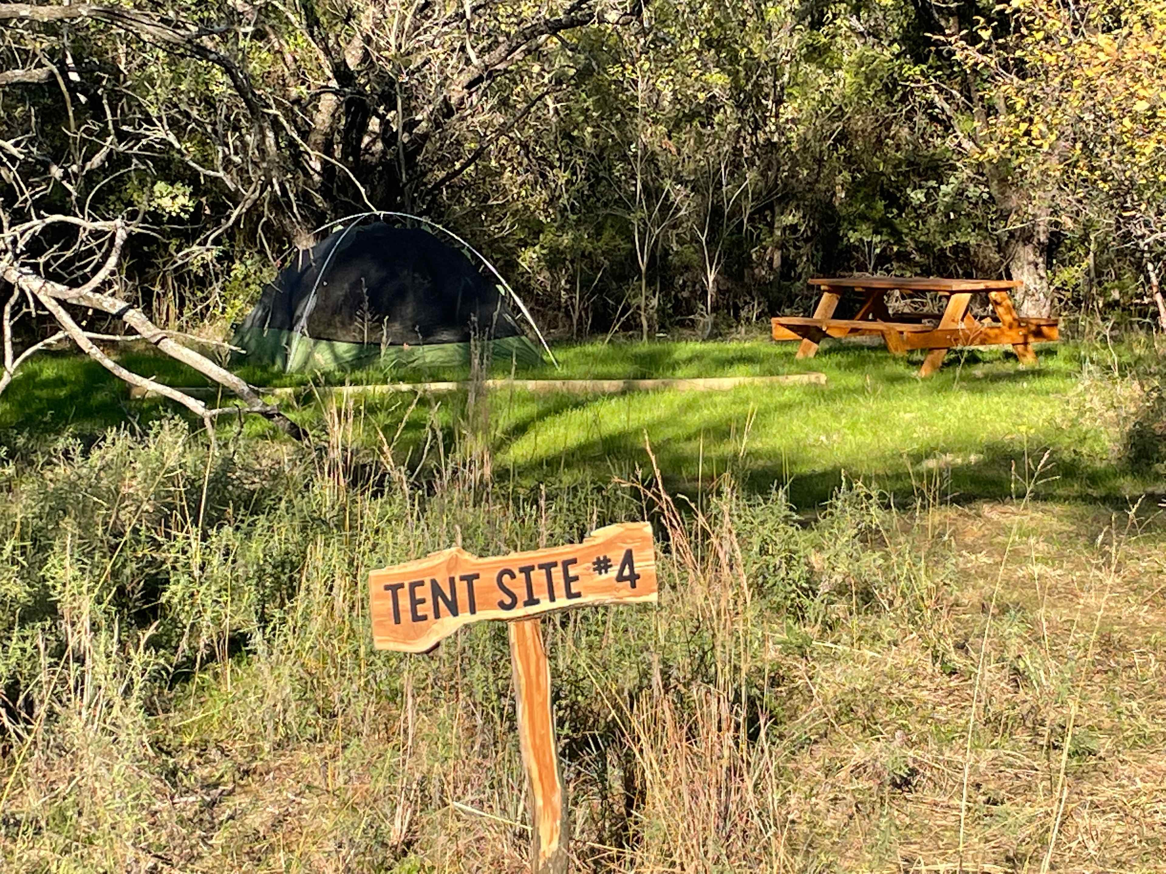 Picture of the site