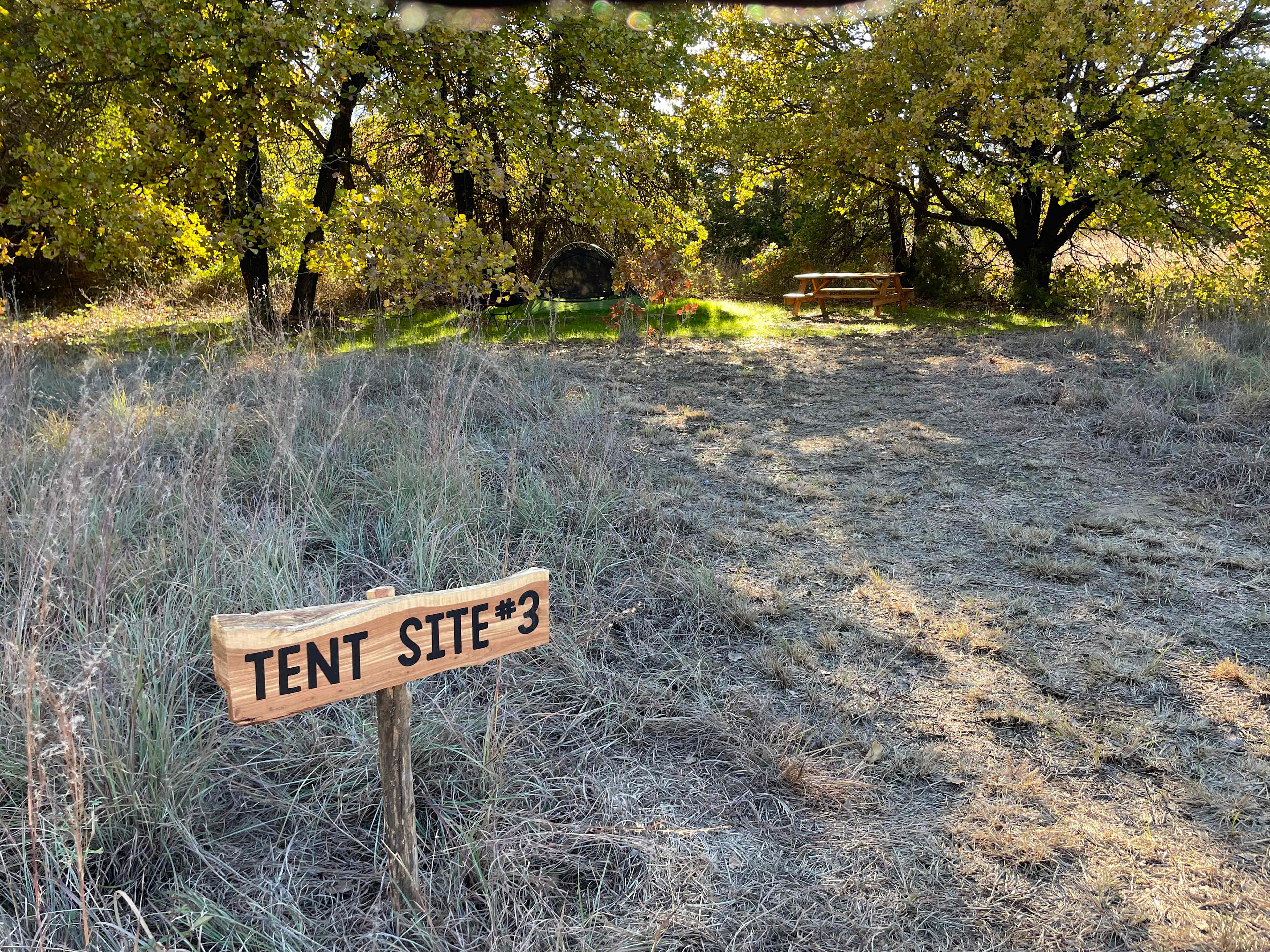 Picture of the site