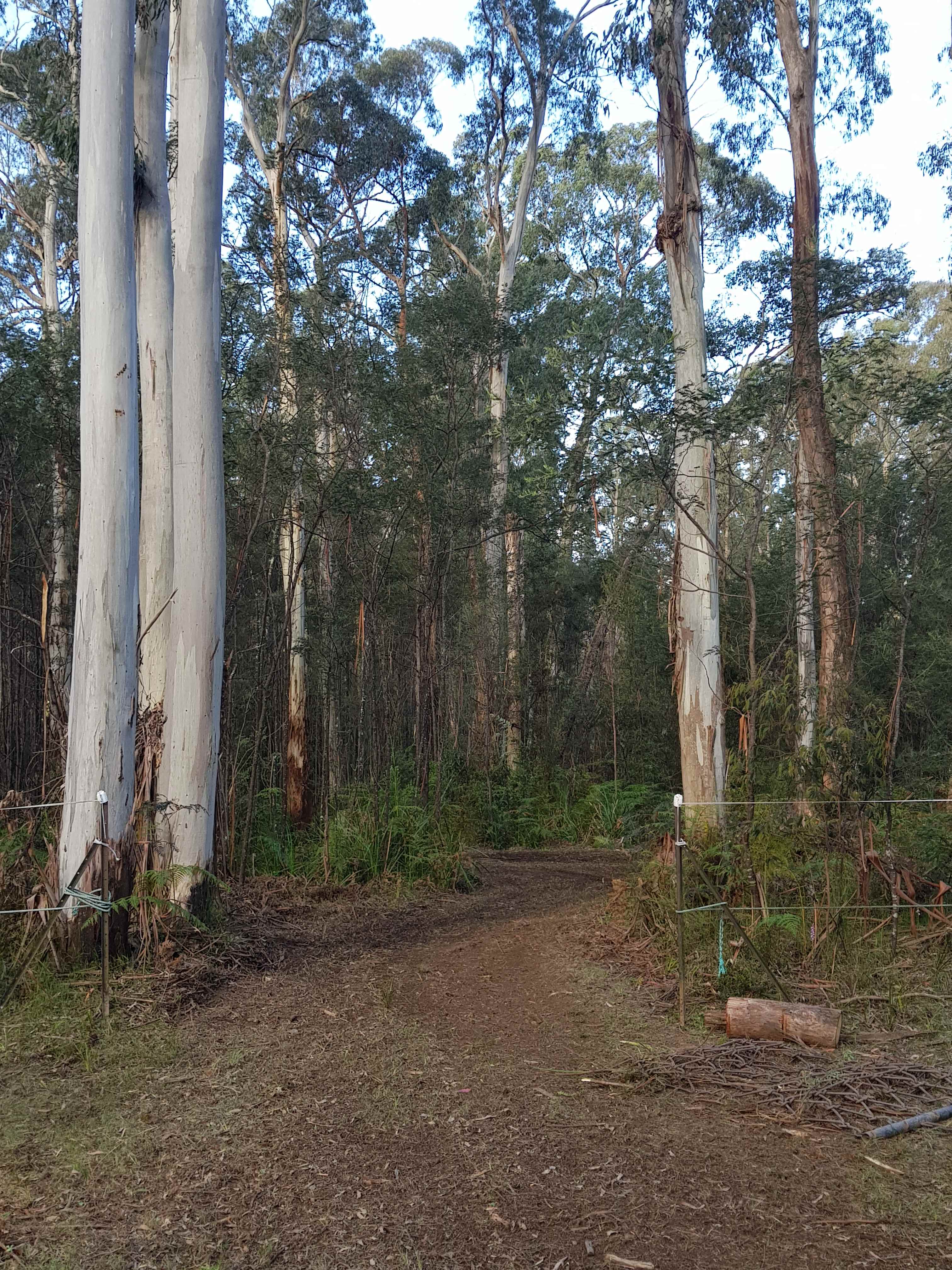 Entrance to River Camp