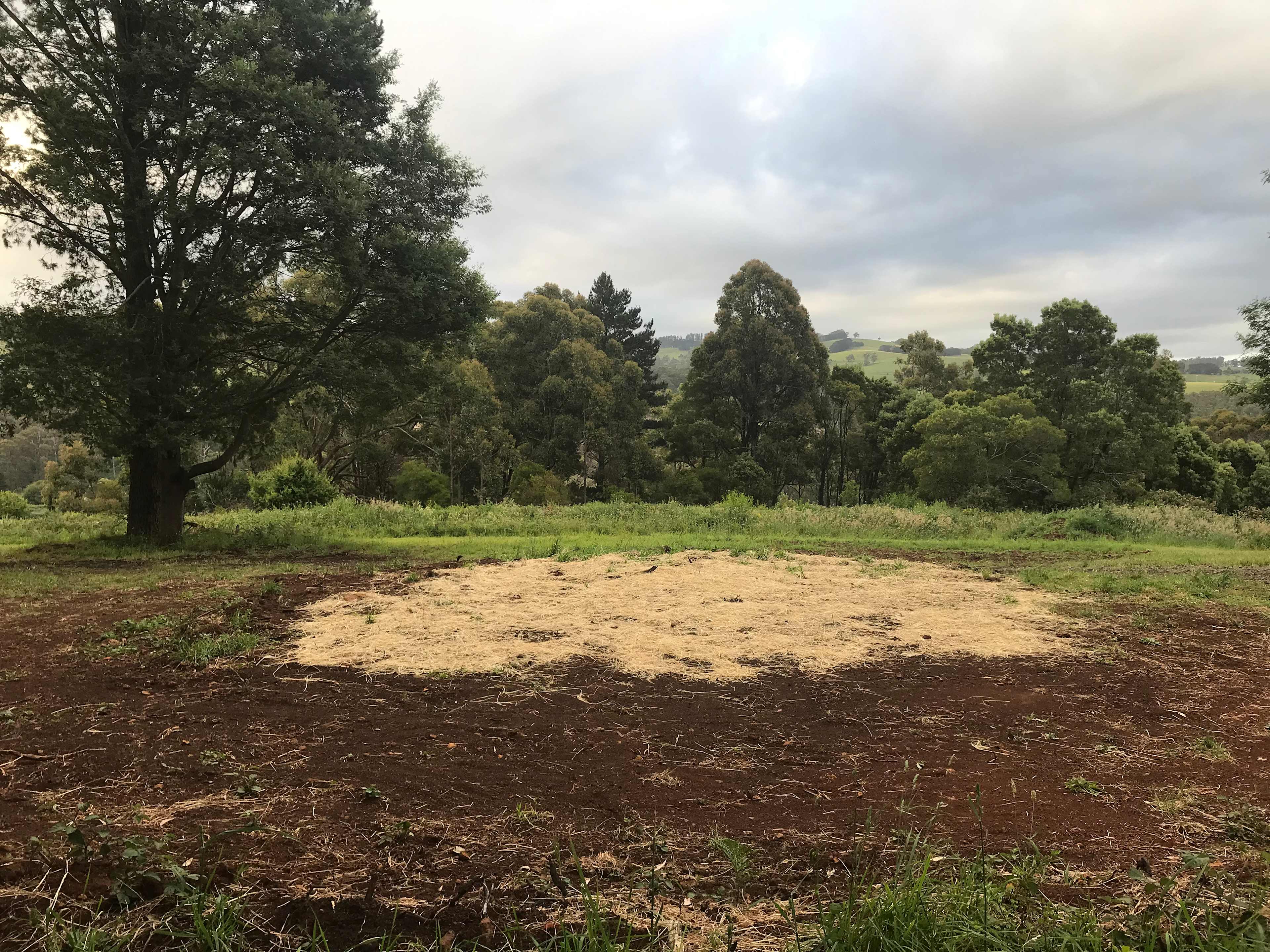 Site 2
