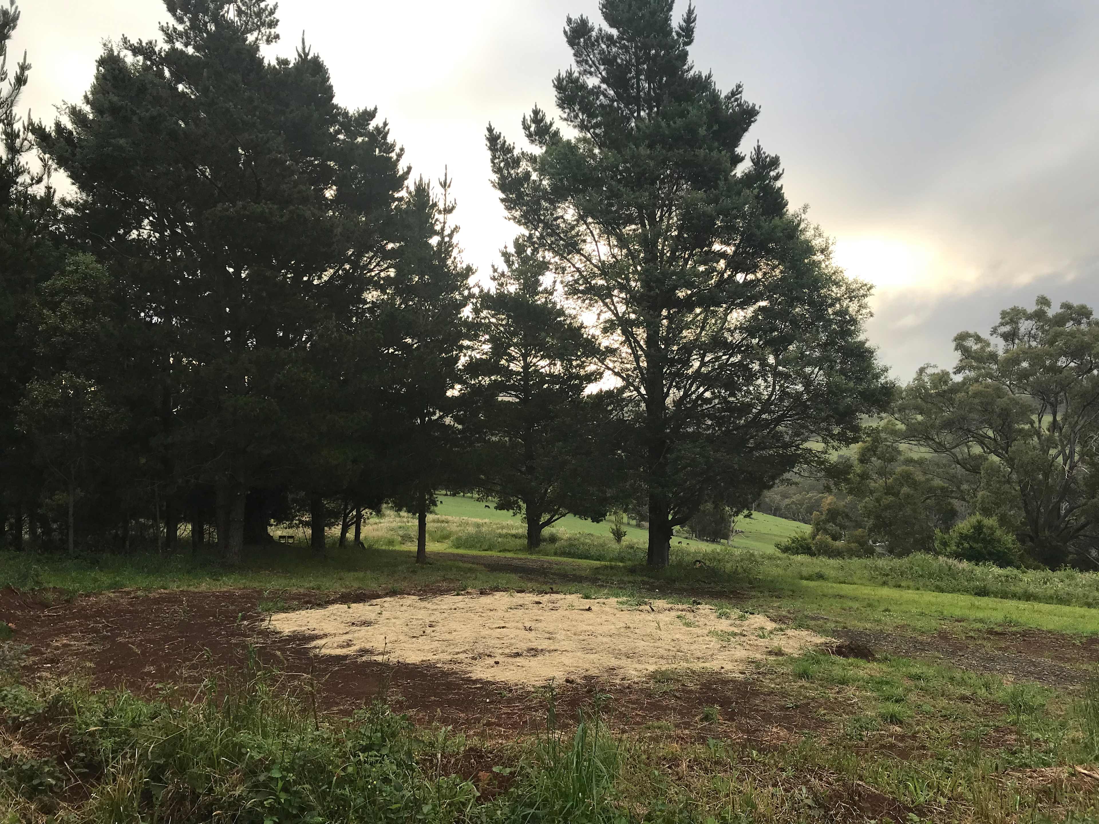 Picture of the site