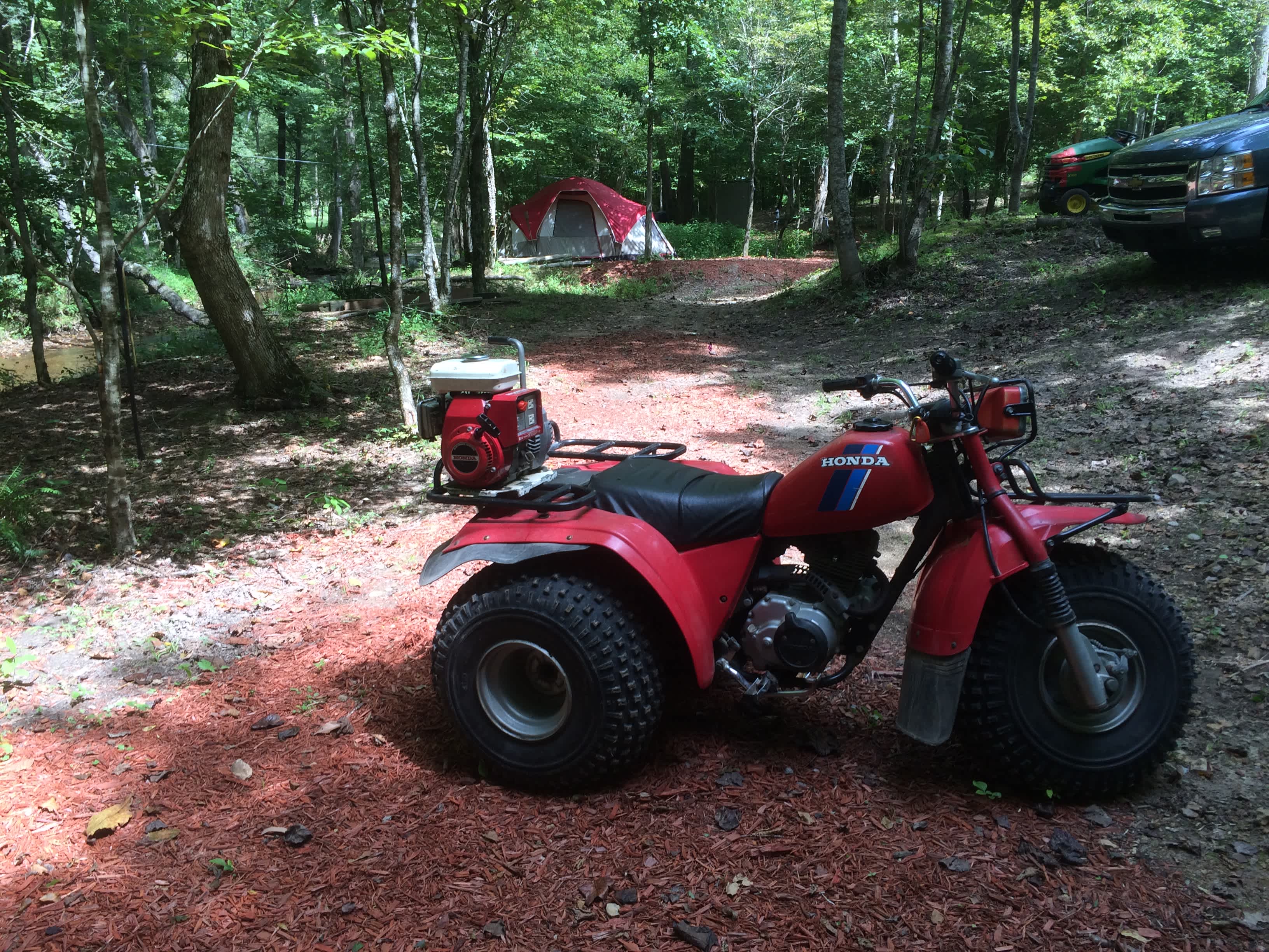 Picture of the site