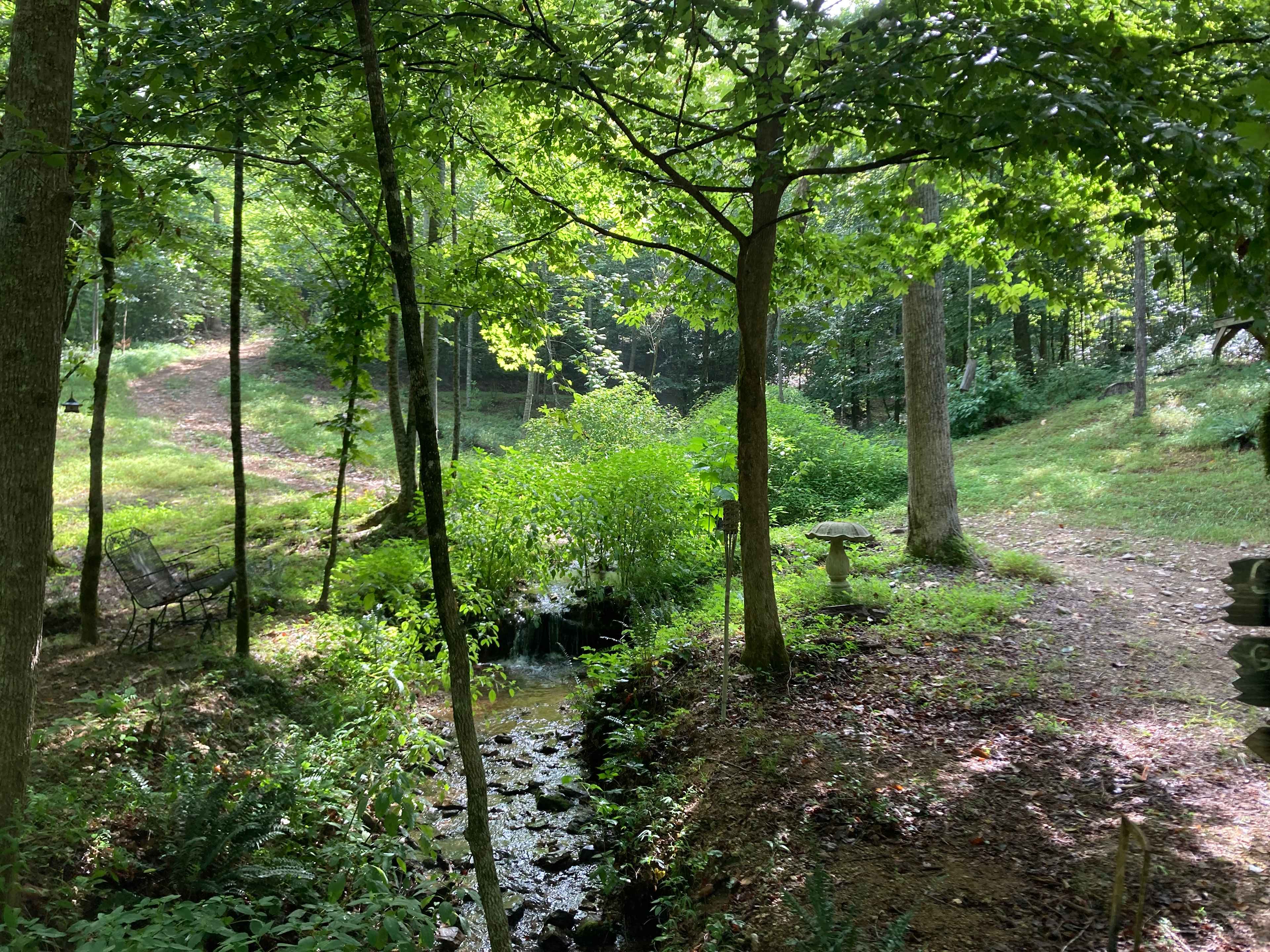The spring that runs between Camp Site 1 and 2.
