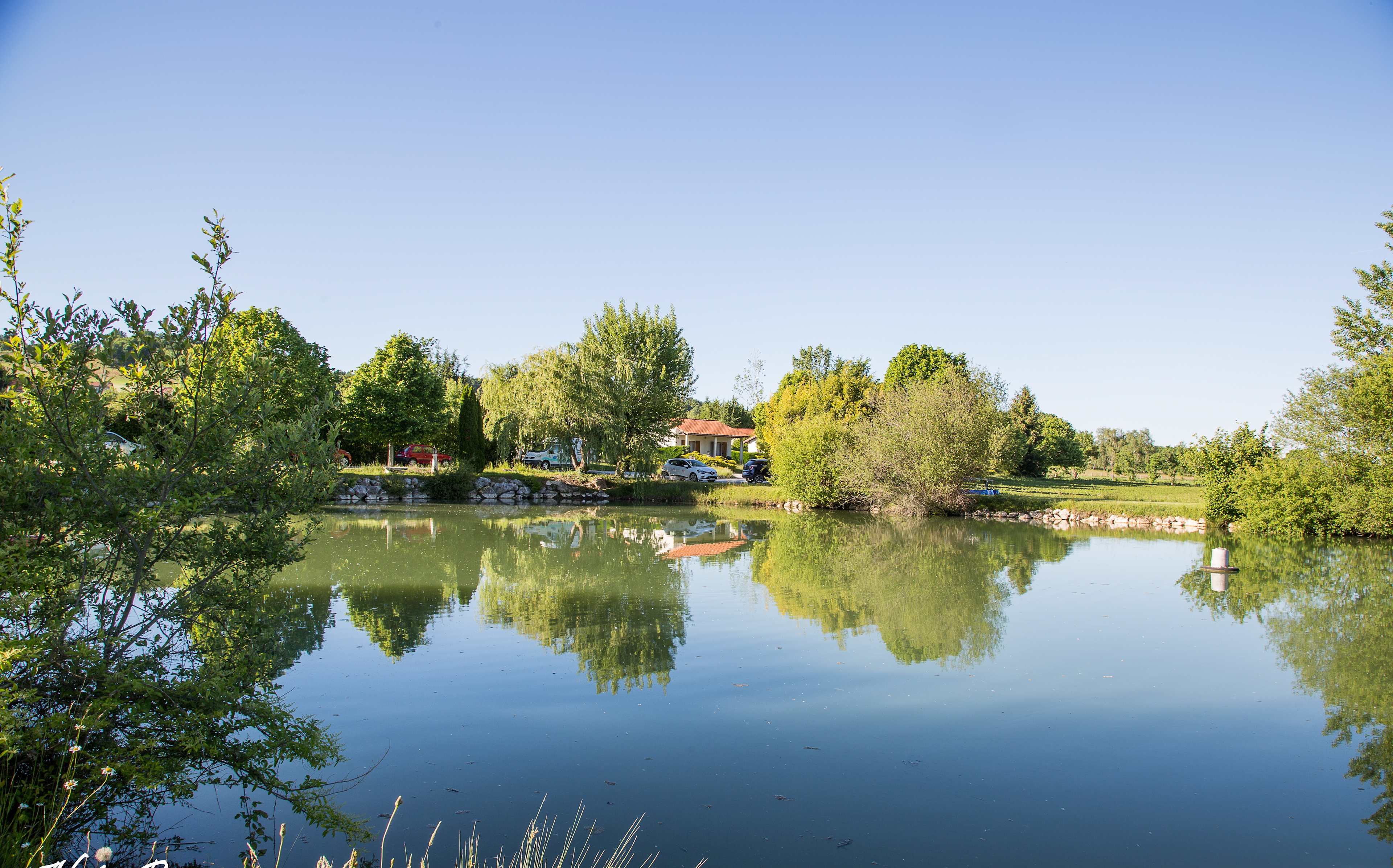 Lake Saint Georges is a private lake known for presenting a beautiful collection of common carp and mirrors. Fishing is allowed on request all year.