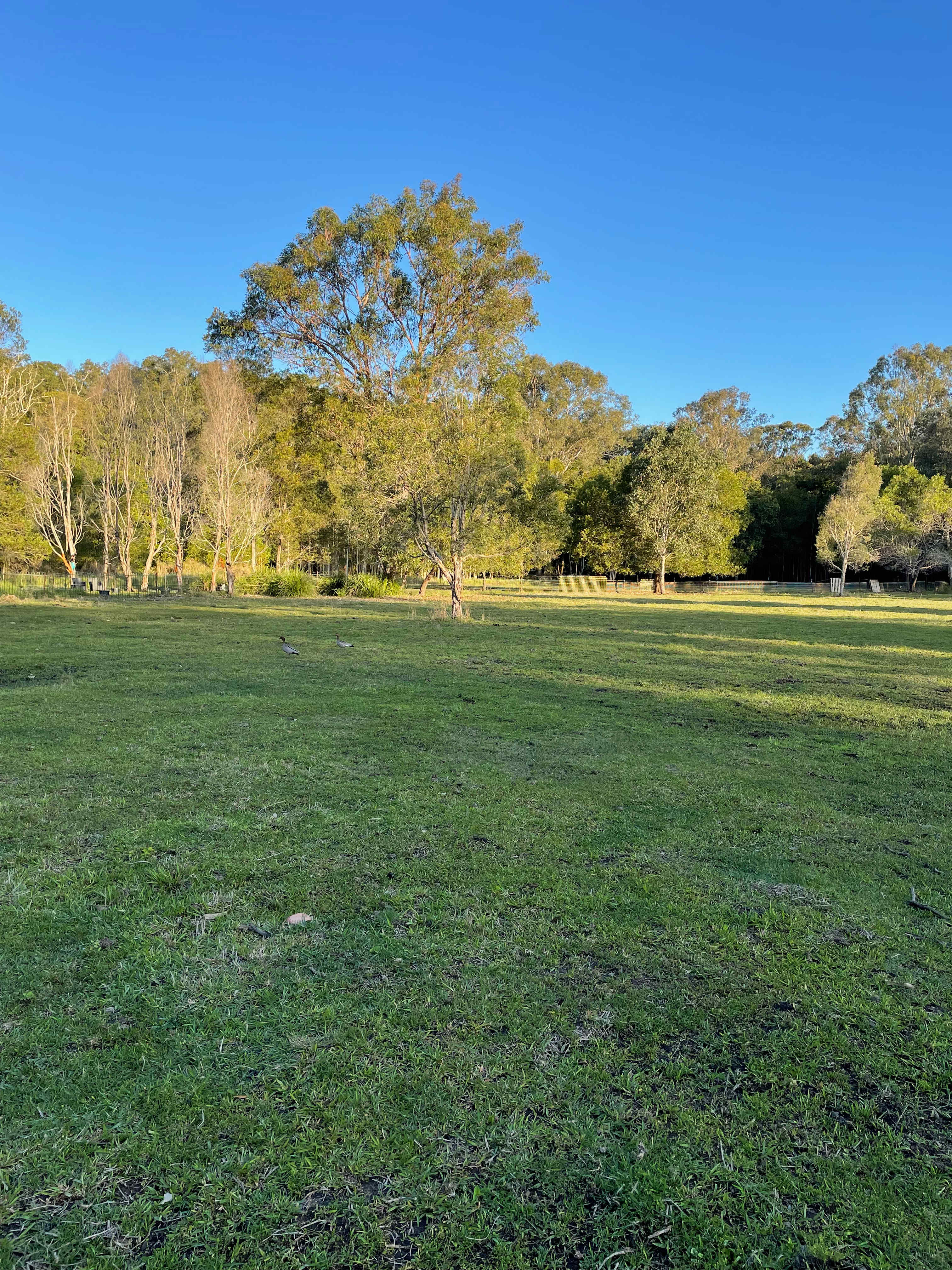 Boho Wilderness Noosa Farm Lake