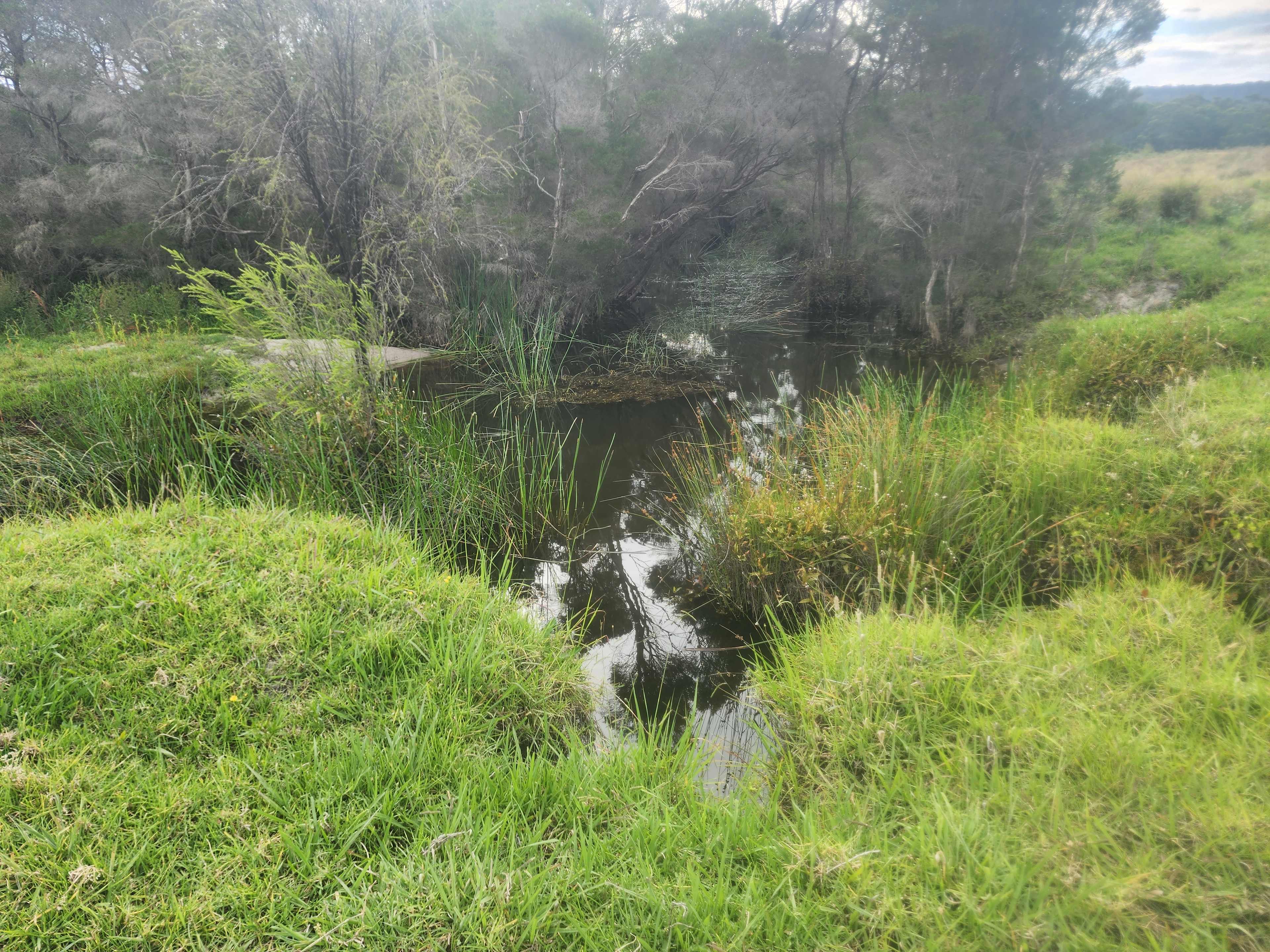 Site 1 stream