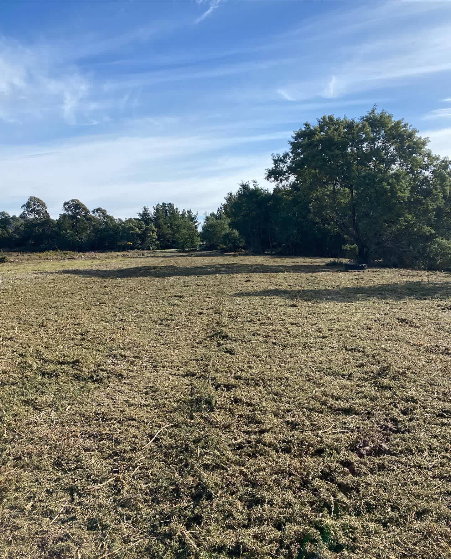 Pockets Farm