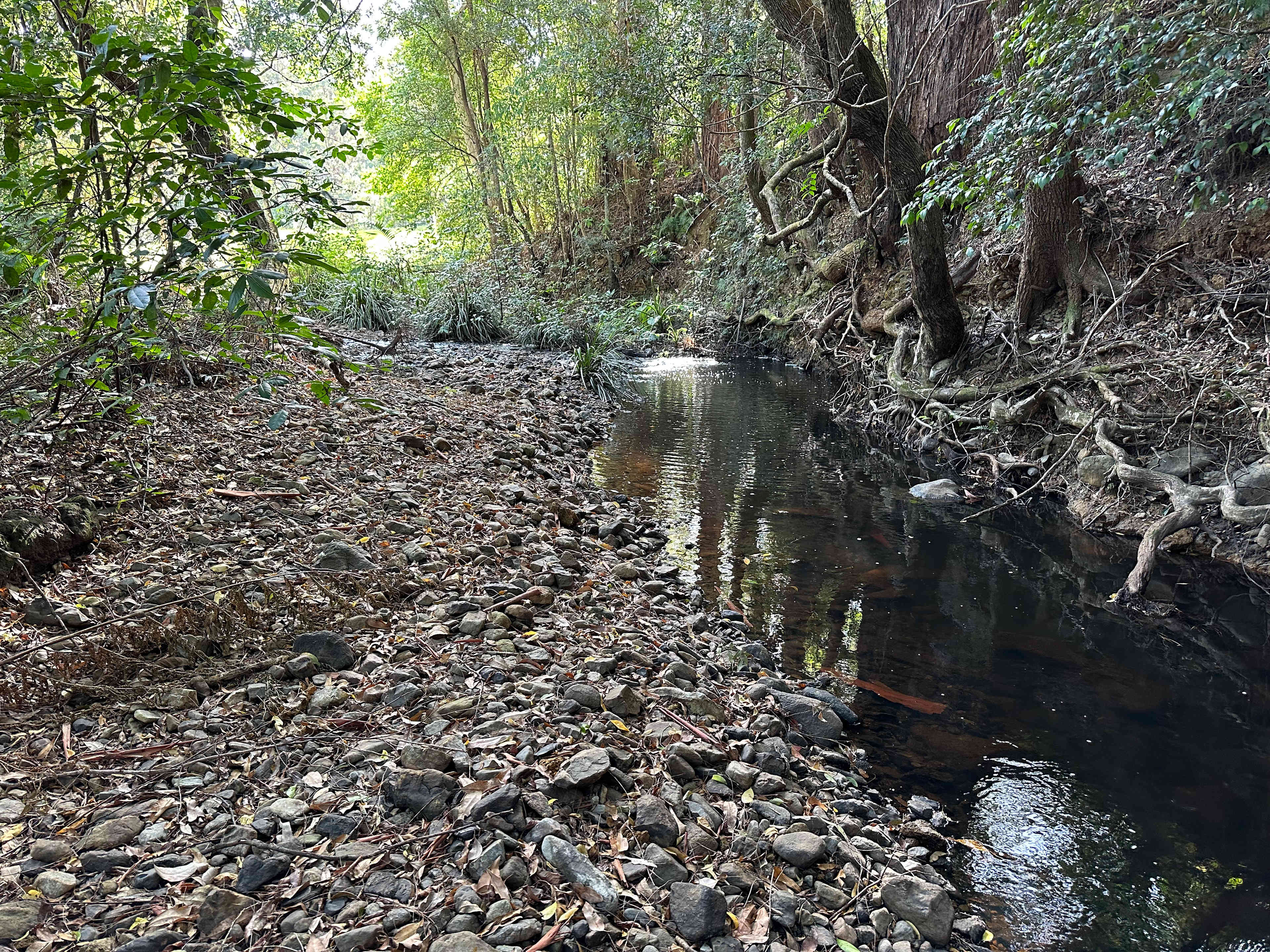 Bonvarly Creekfront
