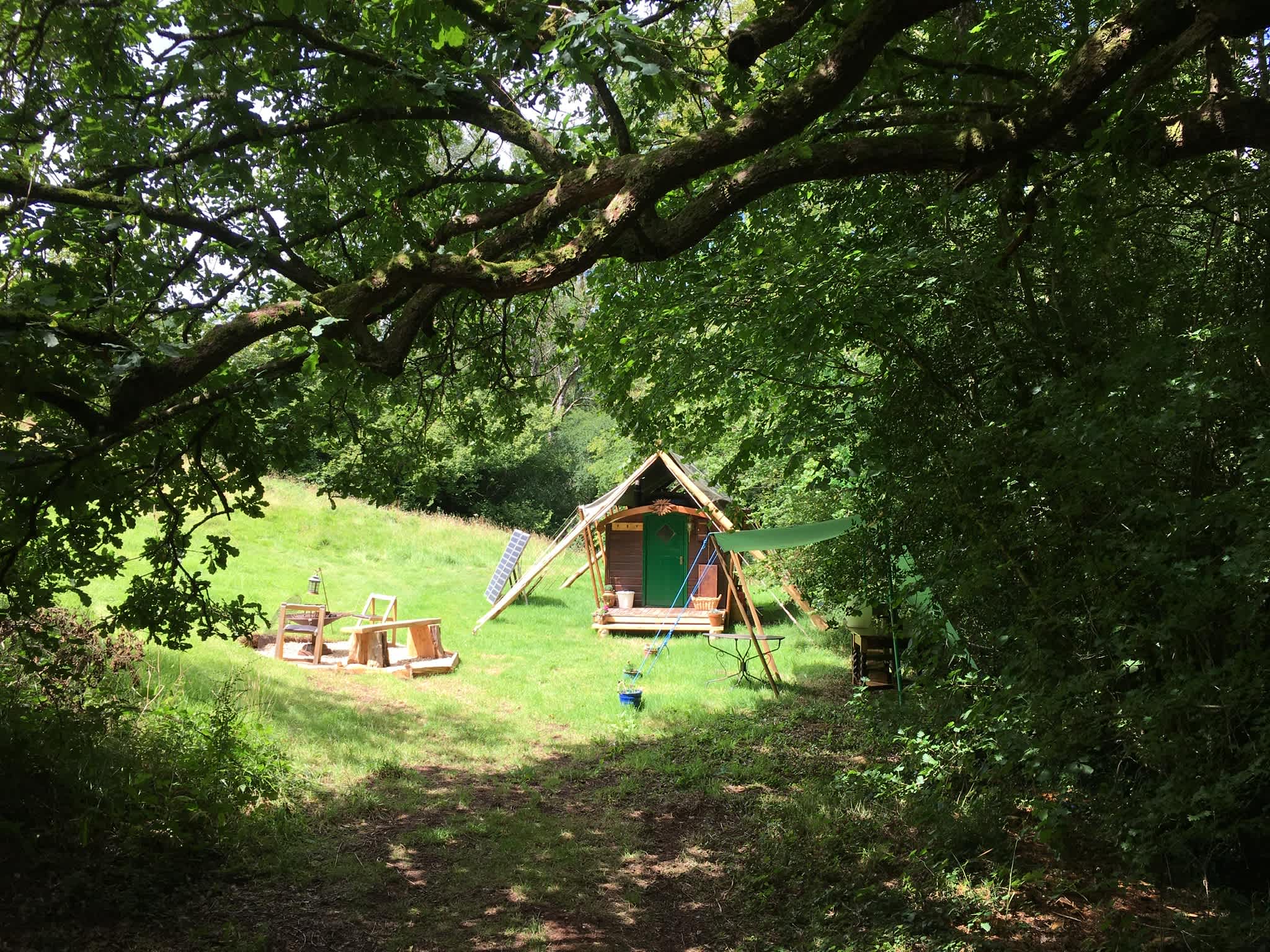 Owls Hollow
