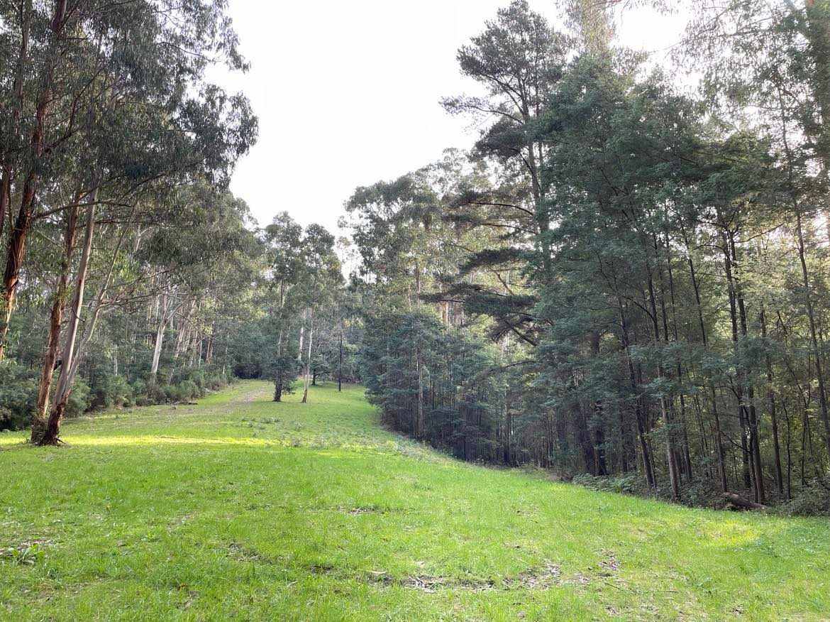 Merrimans Creek Seclusion
