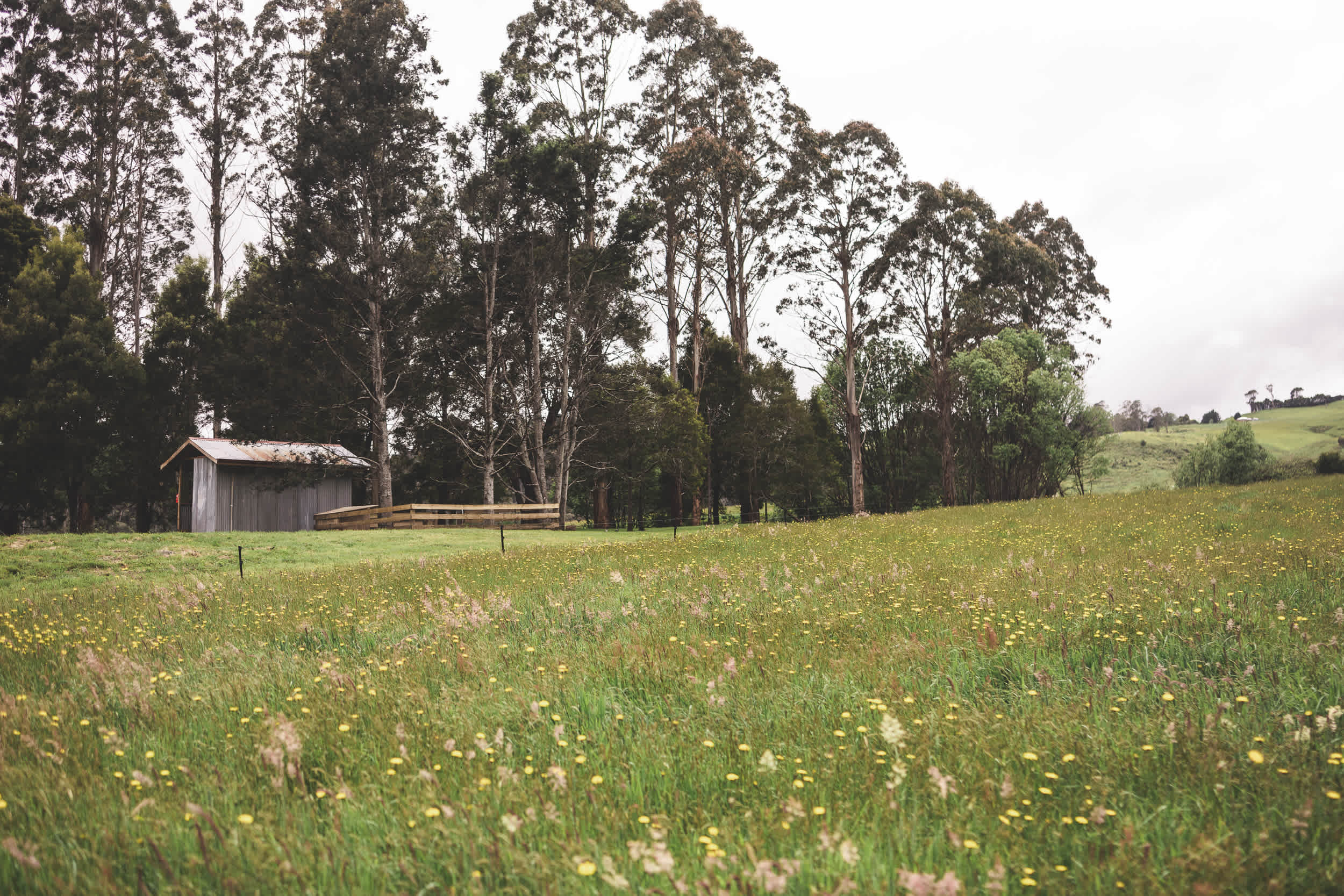 Blythe River Campground