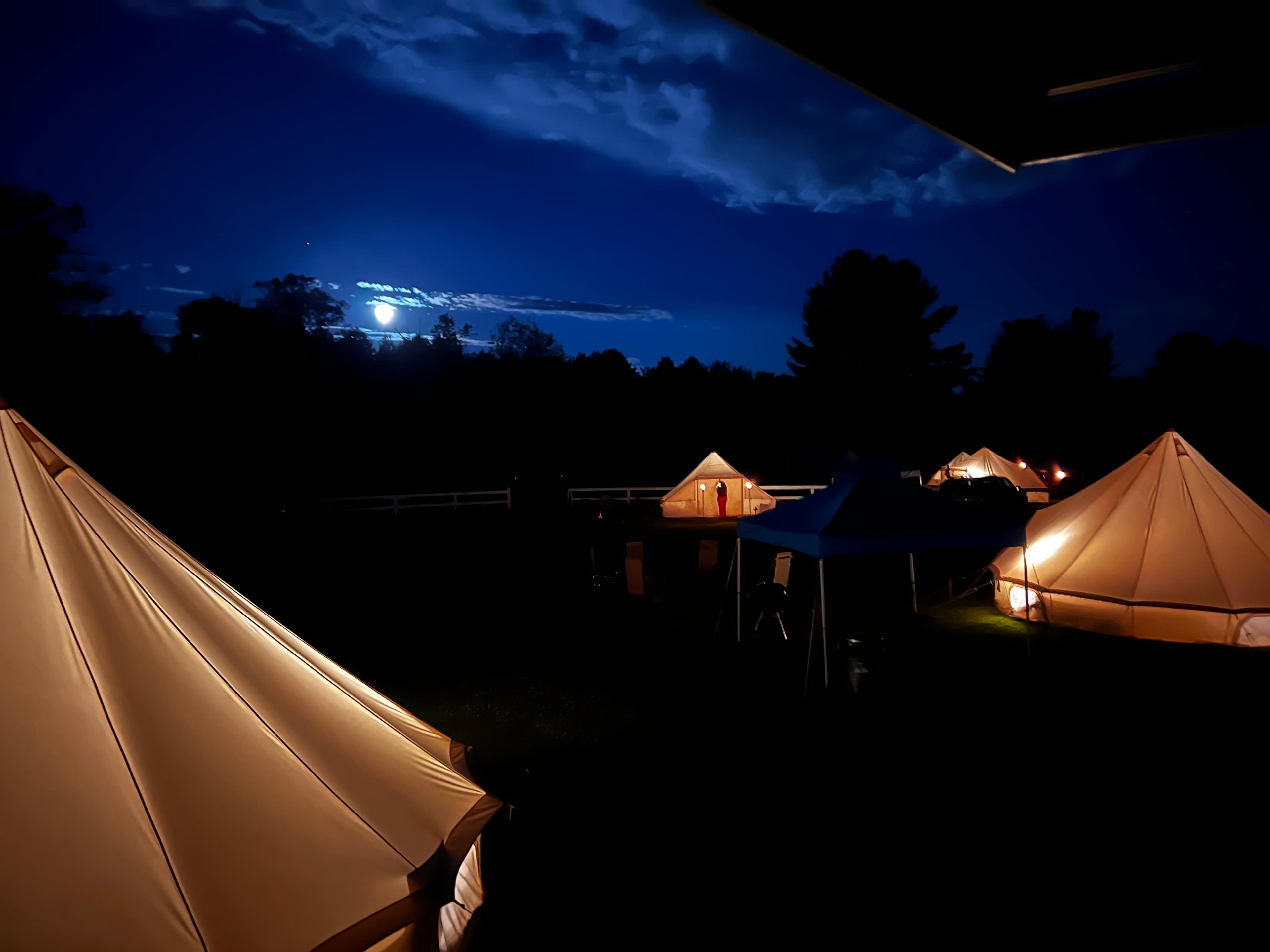 Adirondack Safari
