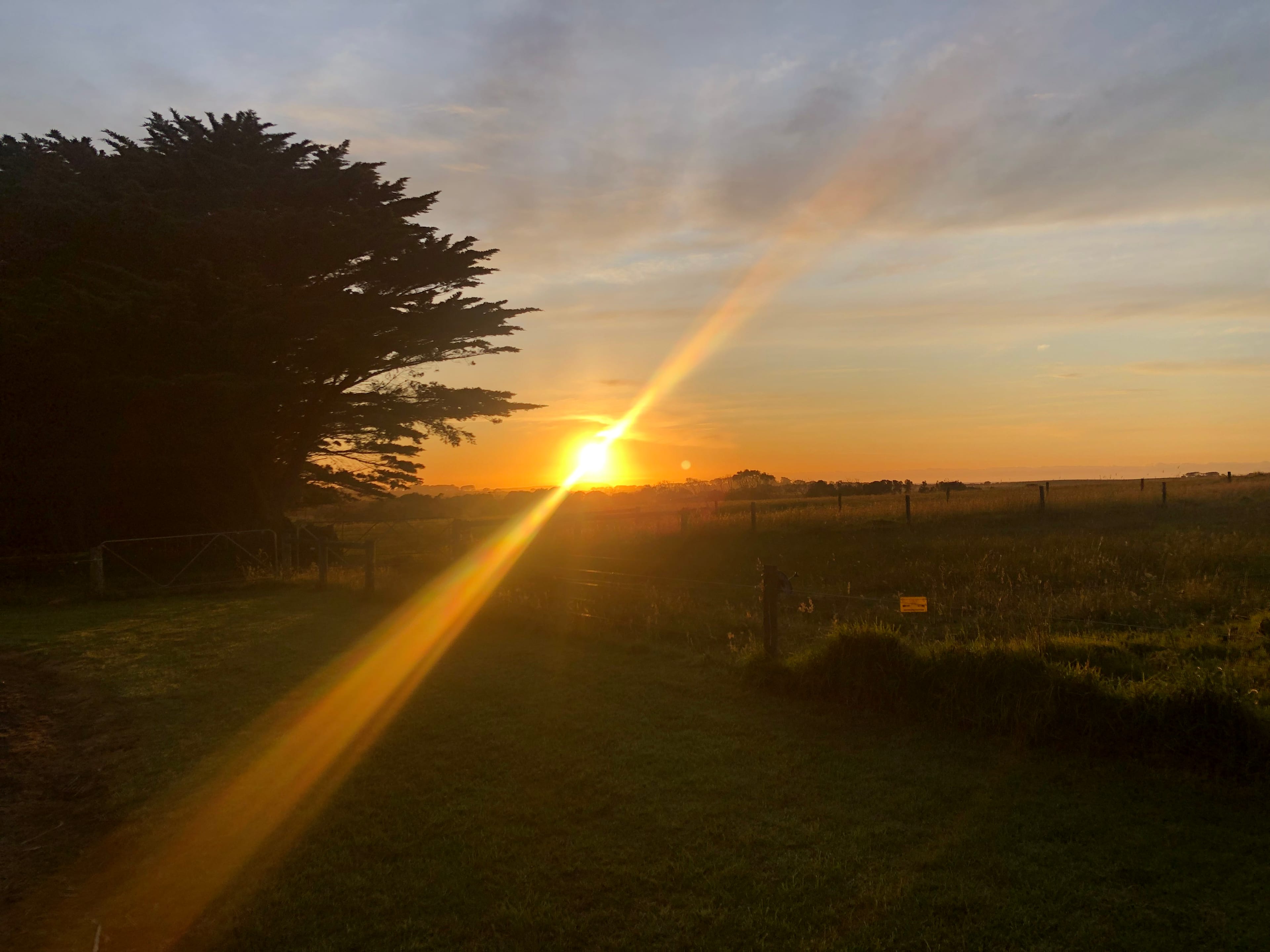 Berry's Beach Farm, Phillip Island